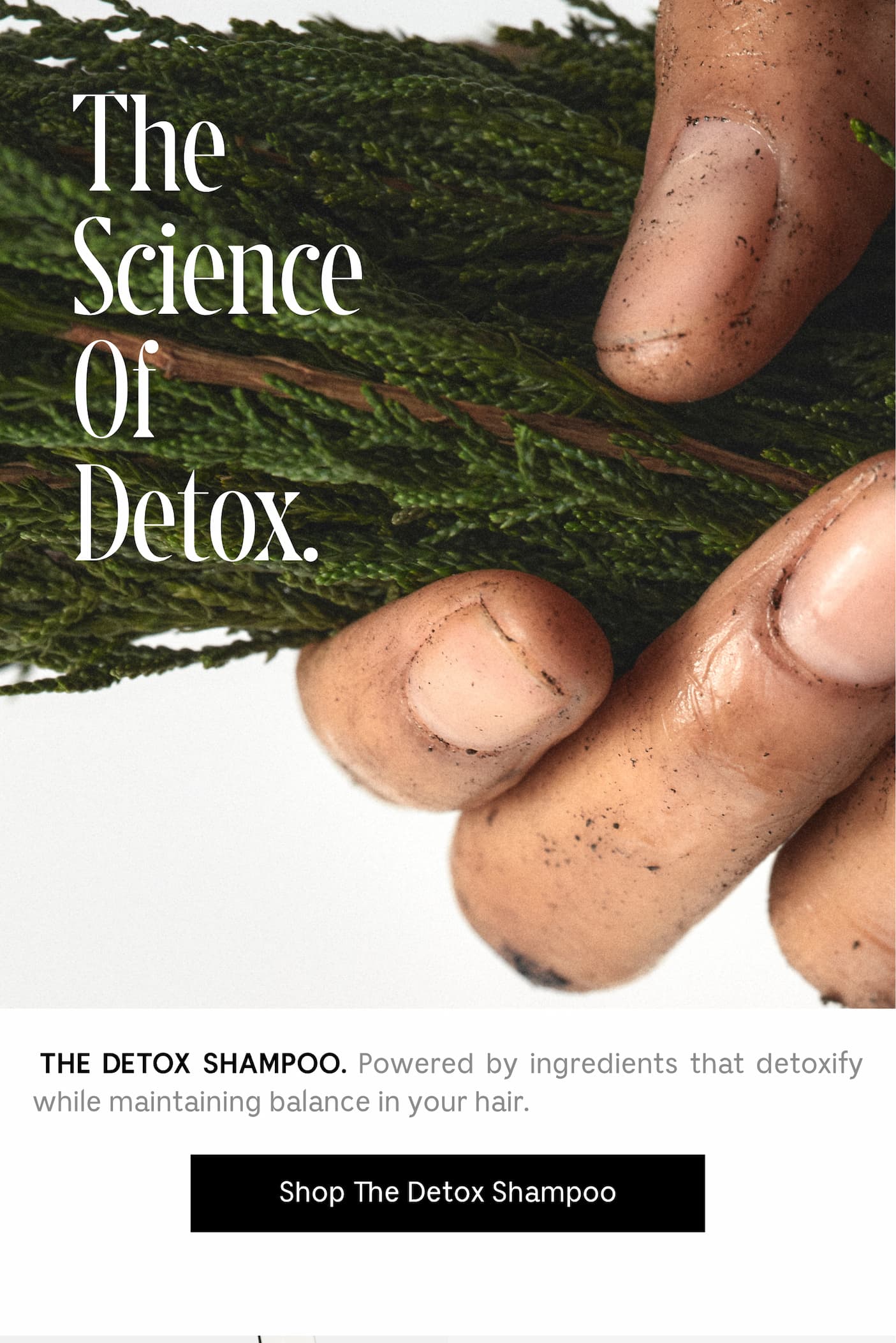 This Science of Detox. THE DETOX SHAMPOO. Powered by ingredients that detoxify while maintaining balance in your hair. Shop The Detox Shampoo