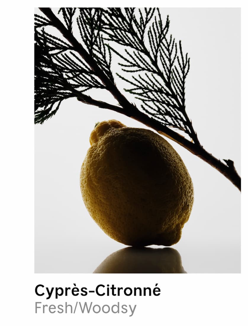 Cypress Citrone | Herbal/Relaxing