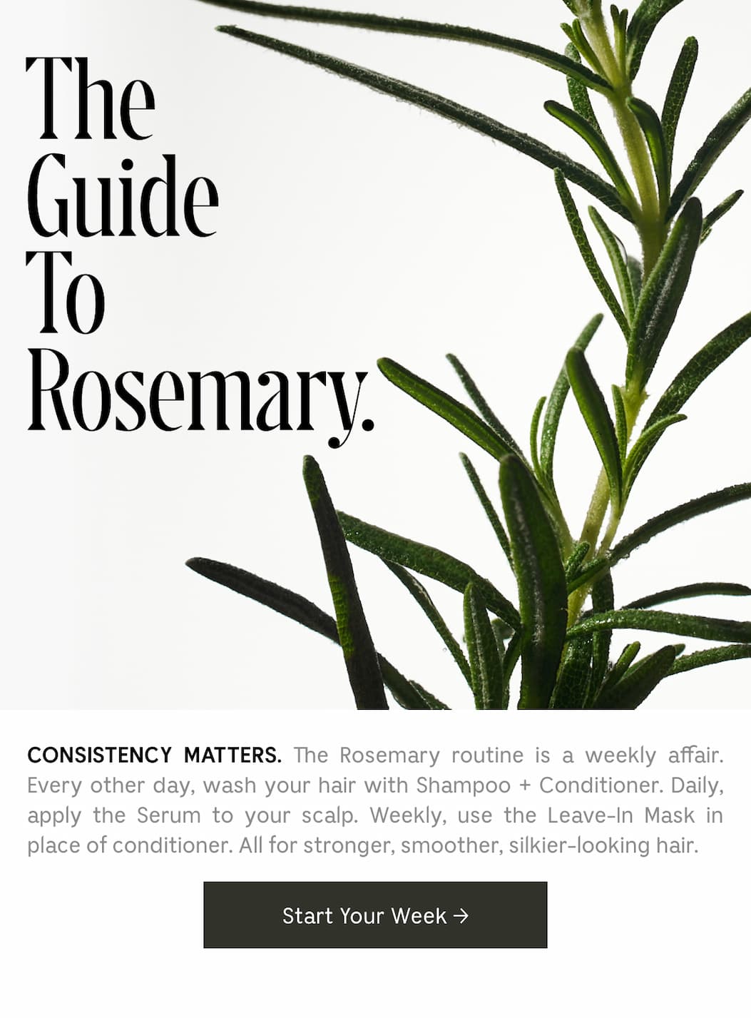 CONSISTENCY MATTERS. The Rosemary routine is a weekly affair. Every other day, wash your hair with Shampoo + Conditioner. Daily, apply the Serum to your scalp. Weekly, use the Leave-In Mask in place of conditioner. All for stronger, smoother, silkier-looking hair. Start Your Week