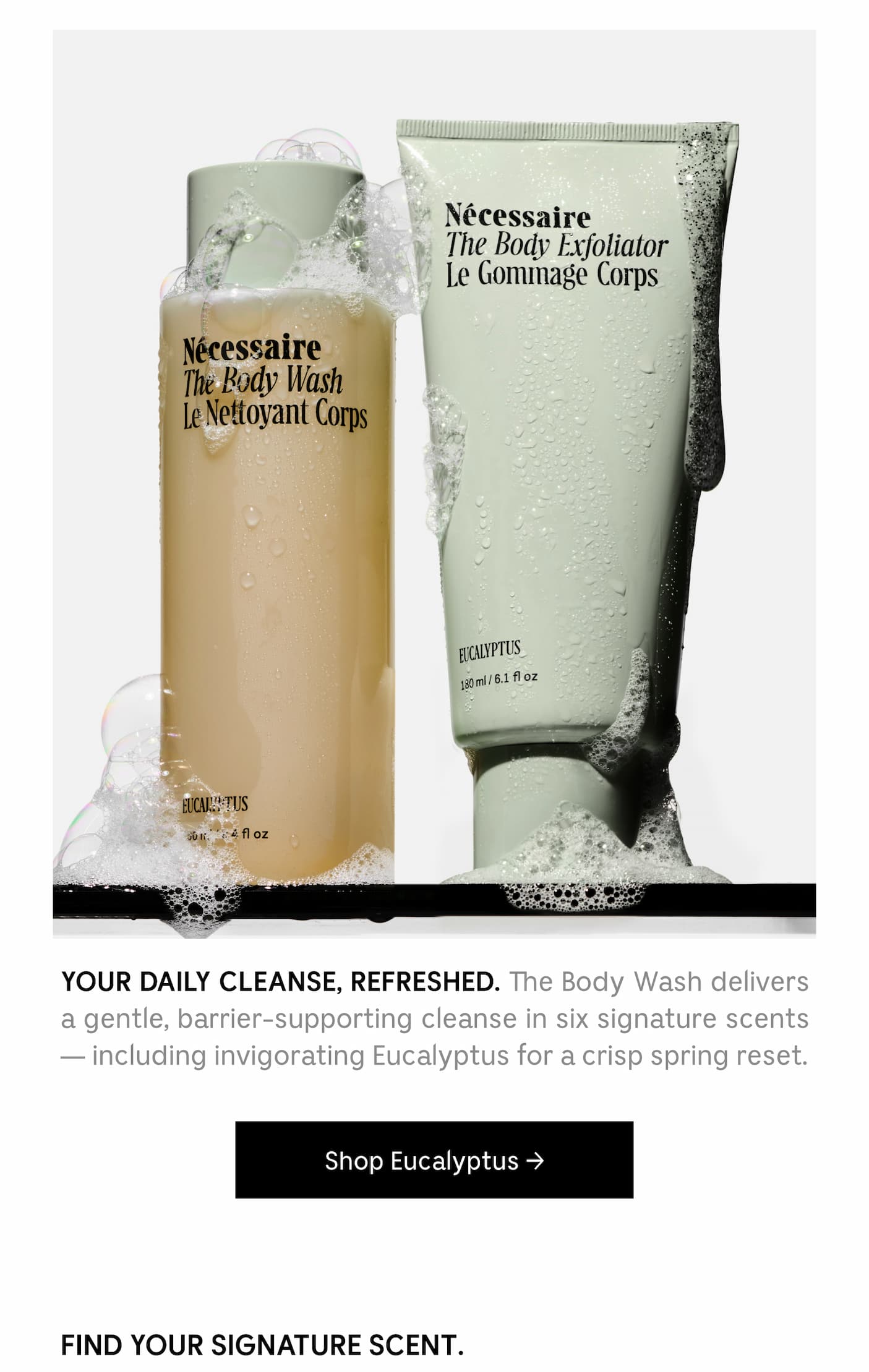 YOUR DAILY CLEANSE, REFRESHED. The Body Wash delivers a gentle, barrier-supporting cleanse in six signature scents - including invigorating Eucalyptus for a crisp spring reset. Shop Eucalyptus