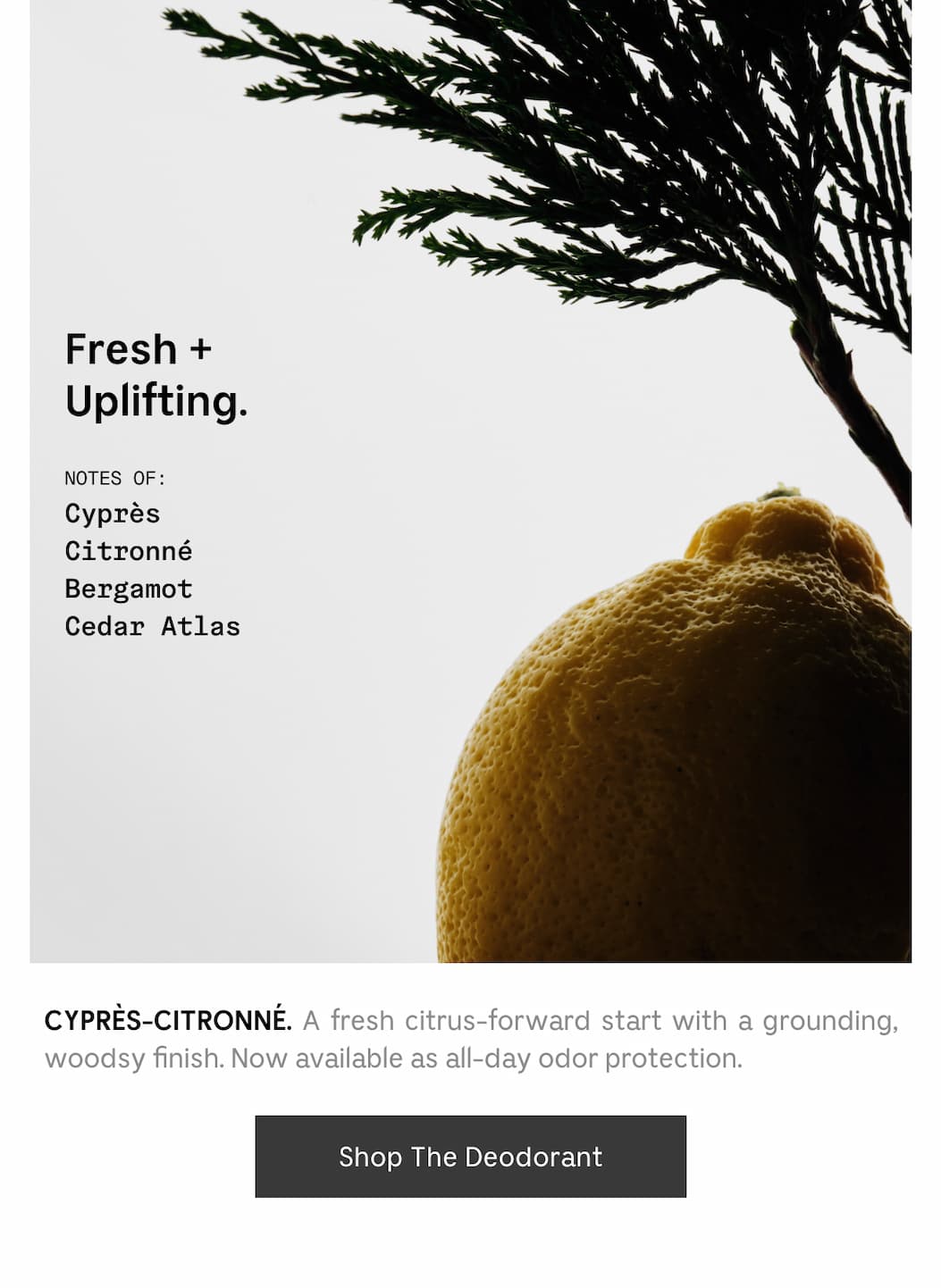 CYPRÈS-CITRONNÉ. A fresh citrus-forward start with a grounding, woodsy finish. Now available as all-day odor protection. Shop The Deodorant