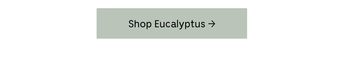 THE SCENT OF THE SUMER | Refreshing, Rejuvenating, Crisp + Revitalizing. Shop Eucalyptus
