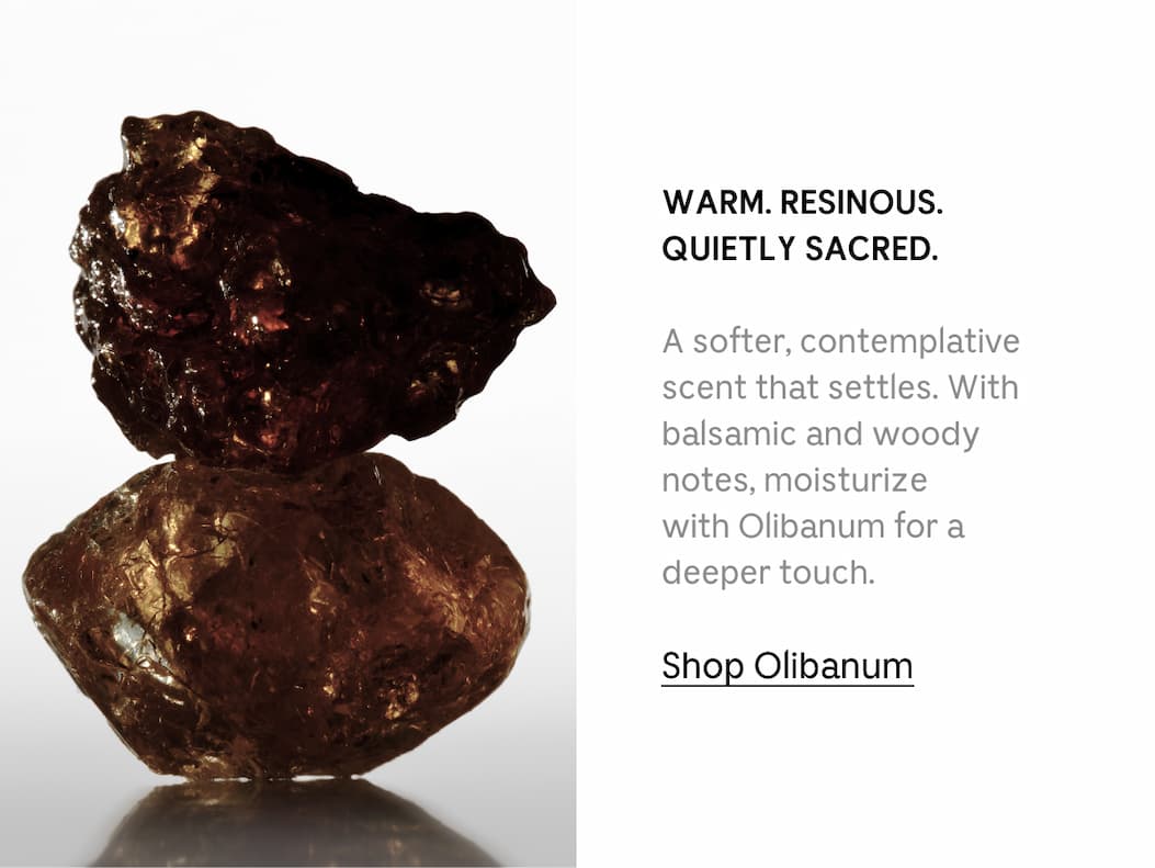 WARM. RESINOUS. QUIETLY SACRED. A softer, contemplative scent that settles. With balsamic and woody notes, moisturize with Olibanum for a deeper touch. | Shop Olibanum
