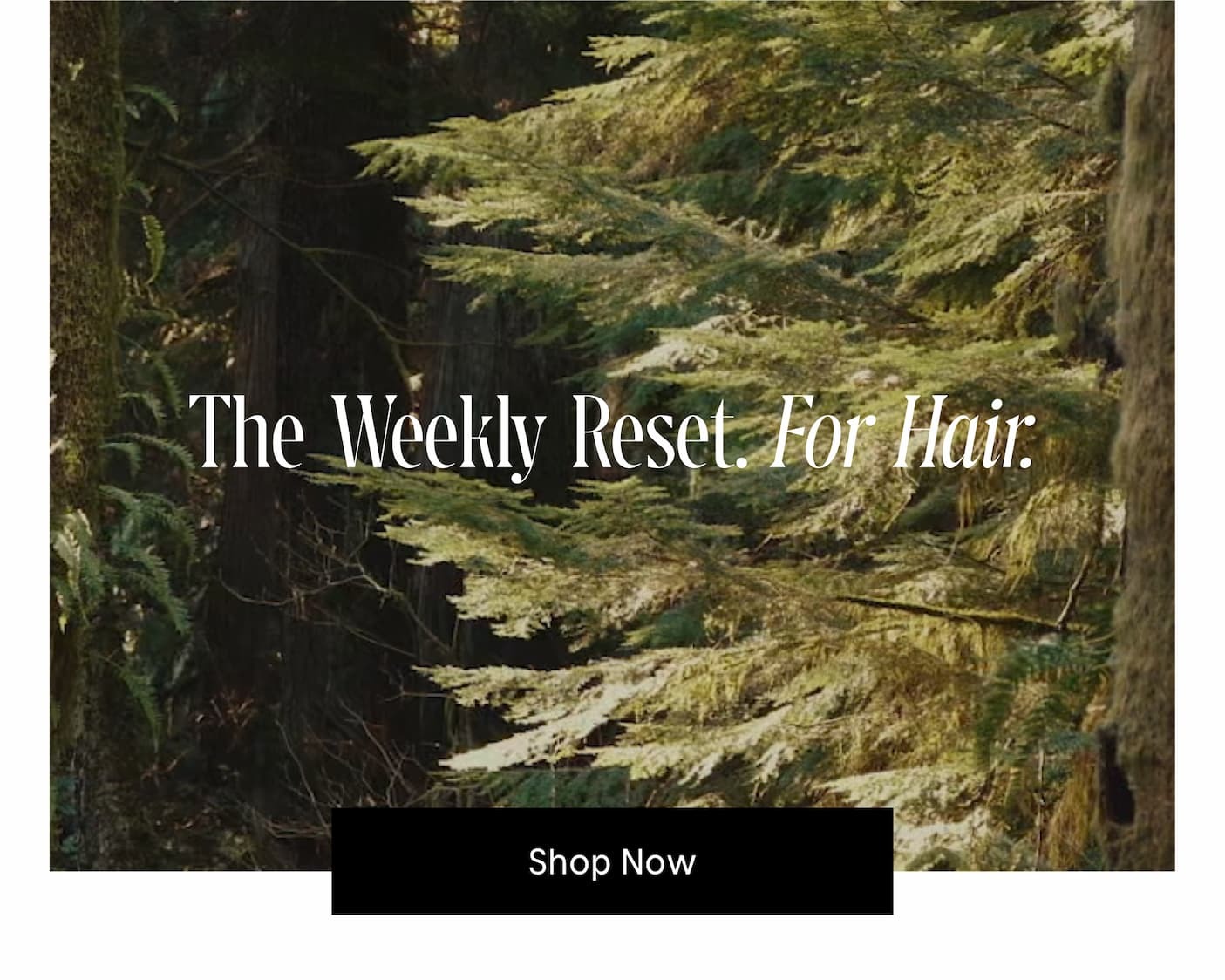 The Weekly Reset. For Hair. Shop Now