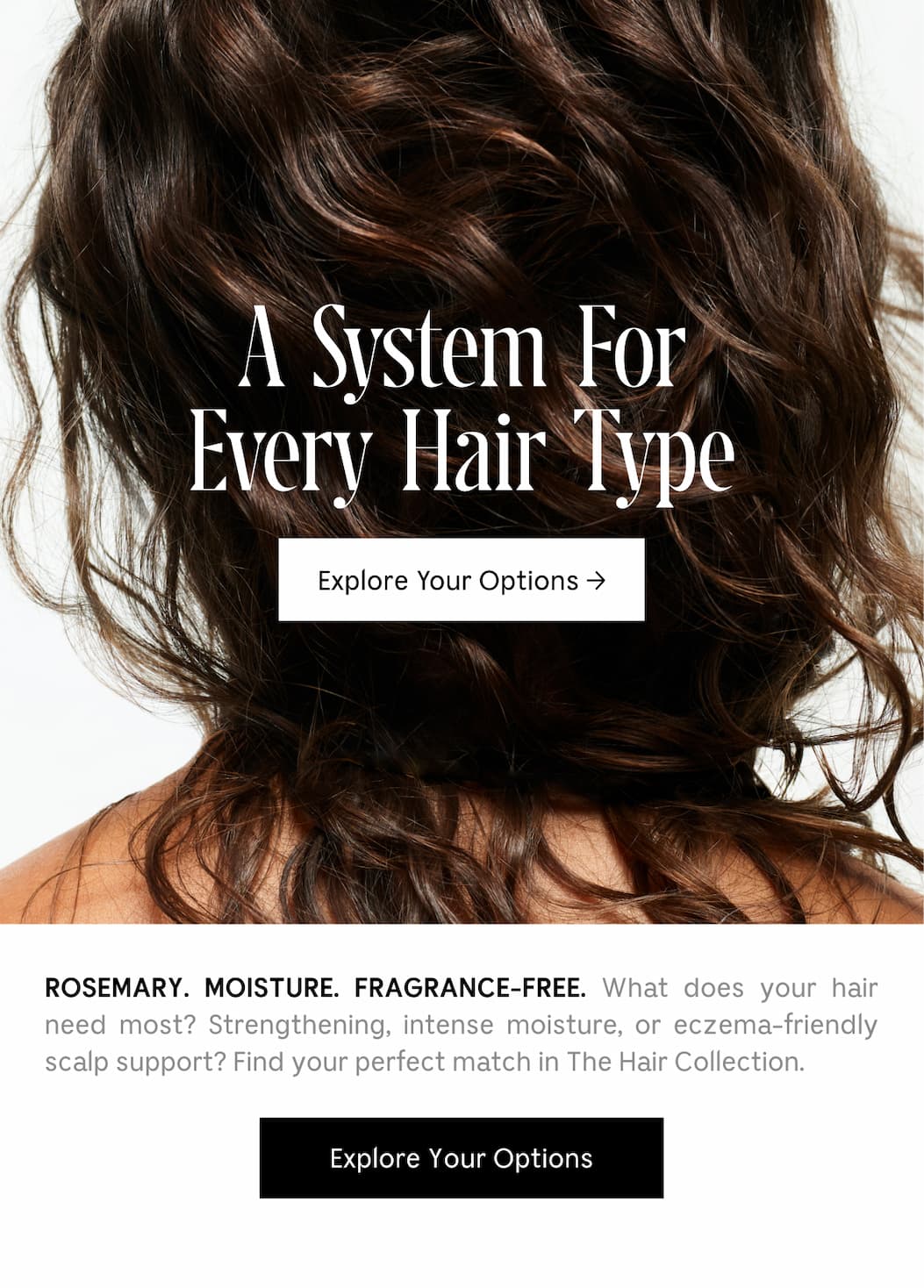 ROSEMARY. MOISTURE. FRAGRANCE-FREE. What does your hair need most? Strengthening, intense moisturize, or eczema-friendly scalp support? Find your perfect match in The Hair Collection. [ Explore Your Options ]