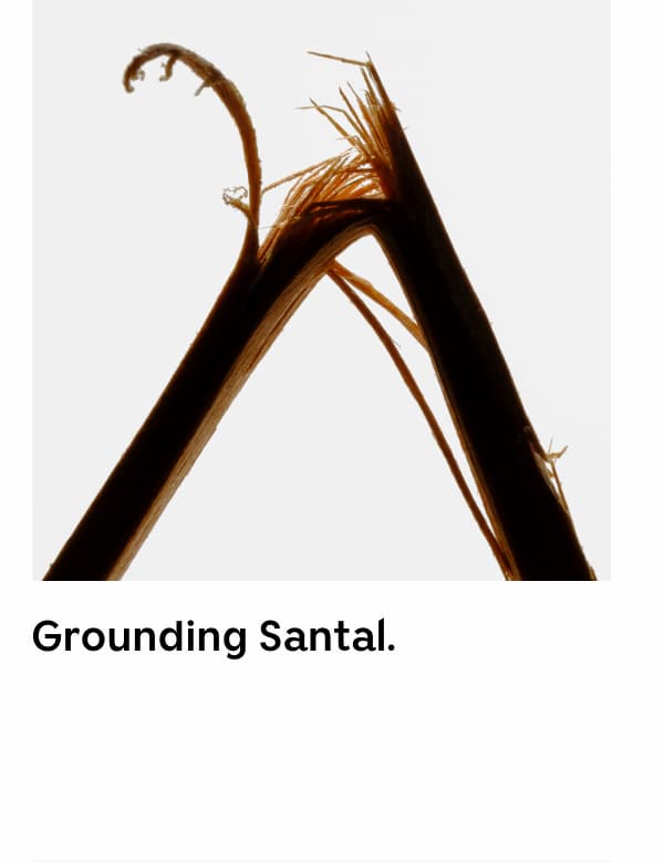 Grounding Santal.