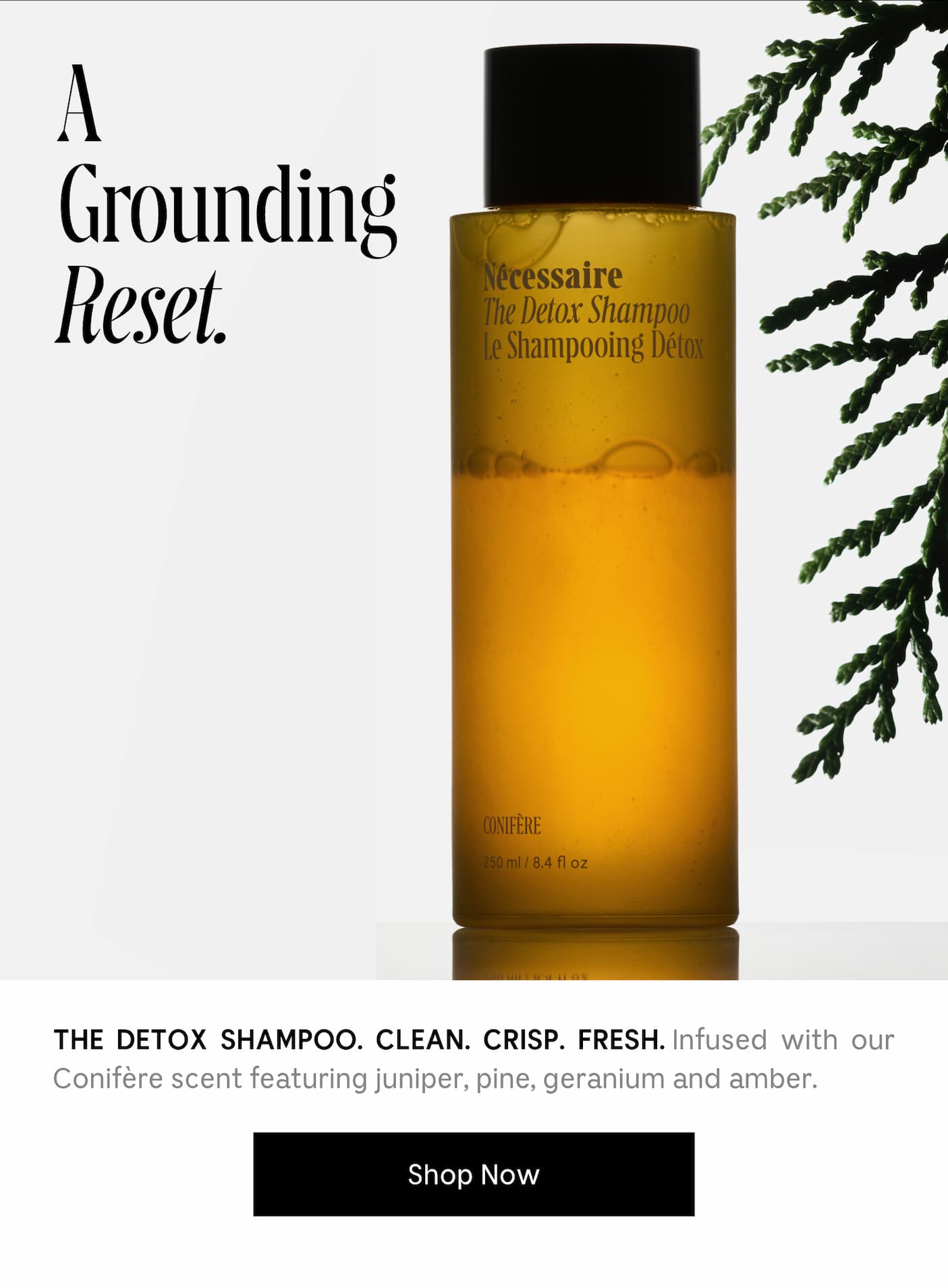 THE DETOX SHAMPOO. CLEAN. CRISP. FRESH. Infused with our Conifère scent featuring juniper, pine, geranium and amber. Shop Now