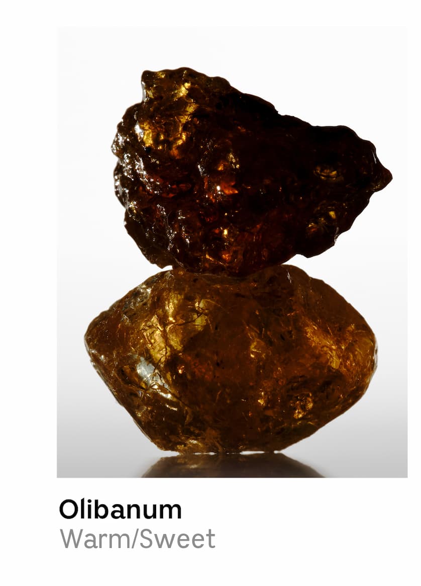 Olibanum | Warm/Sweet