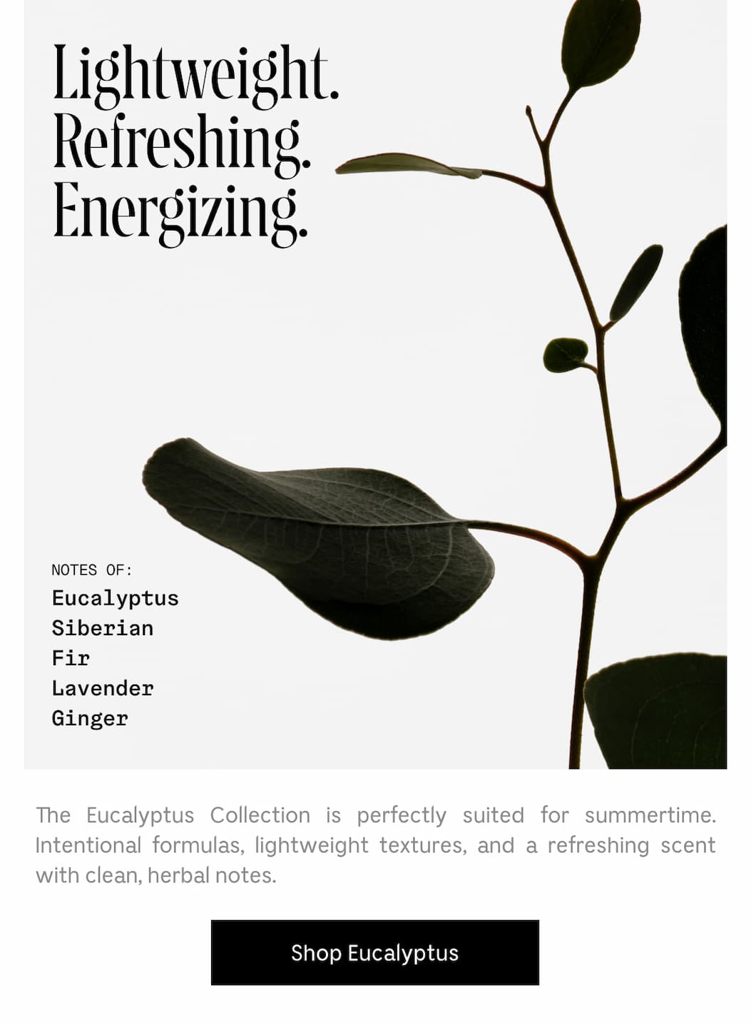 The Eucalyptus Collection is perfectly suited for summertime. International formulas, lightweight textures, and a refreshing scent with clean, herbal notes. Shop Eucalyptus