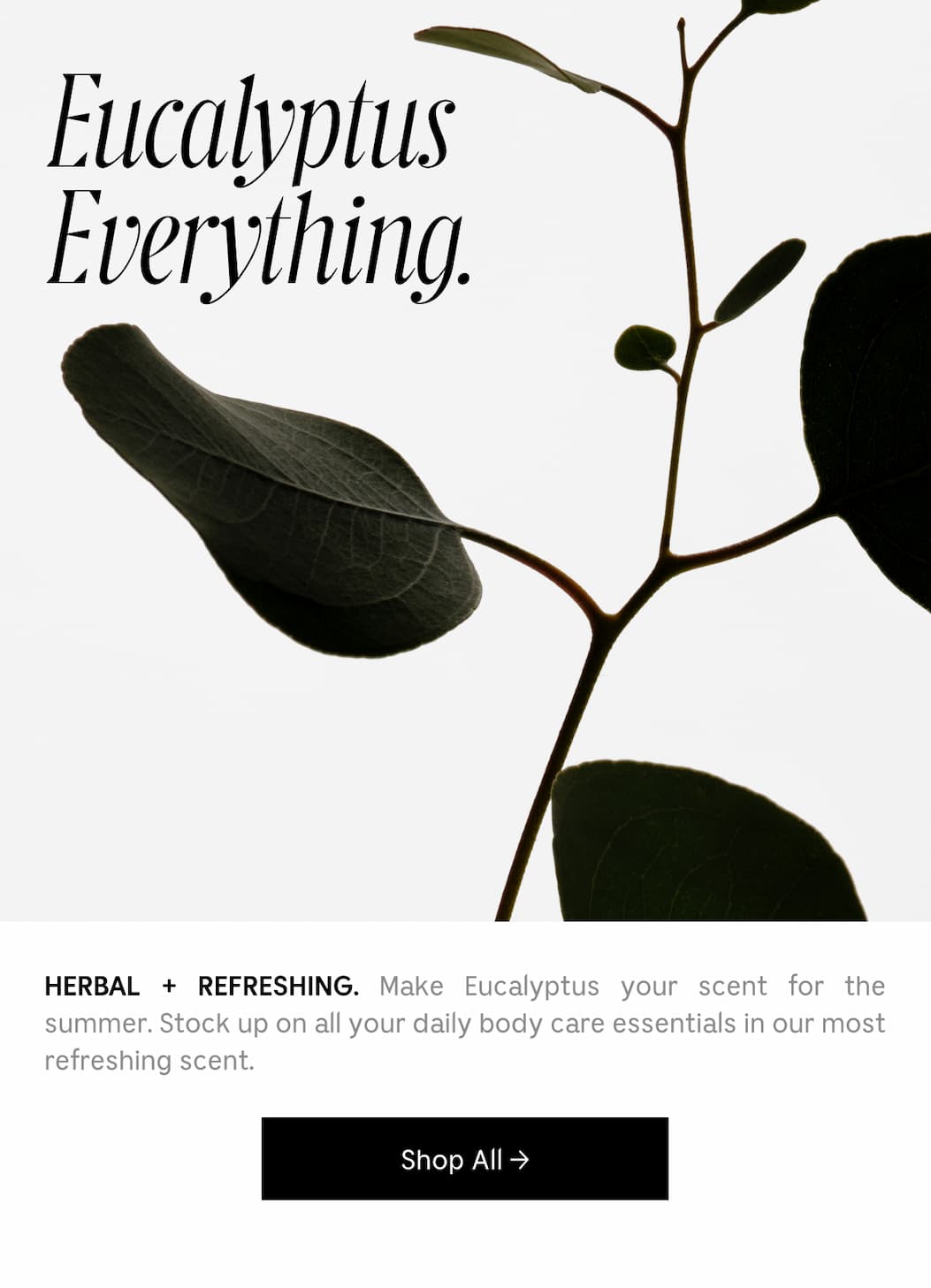 HERBAL + REFRESHING. Make Eucalyptus your scent for the summer. Stock up on all your daily body care essentials in our most refreshing scent. Shop All