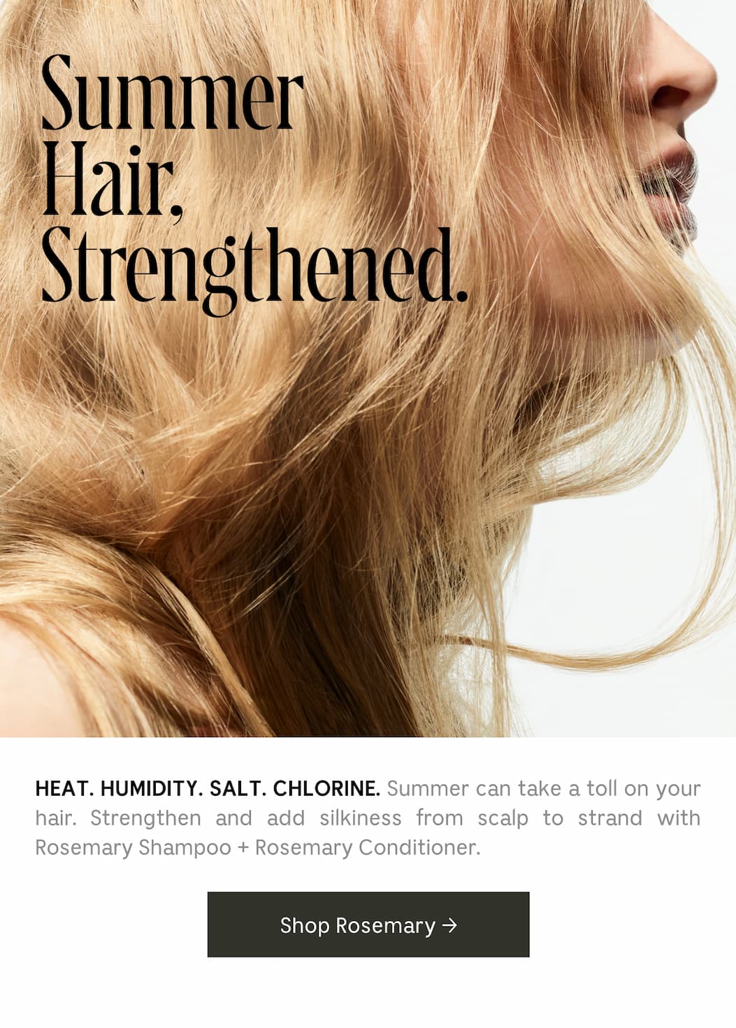 HEAT. HUMIDITY. SALT. CHLORINE. Summer can take a toll on your hair. Strengthen and add silkiness from scalp to strand with Rosemary Shampoo + Rosemary Conditioner. Shop Rosemary →