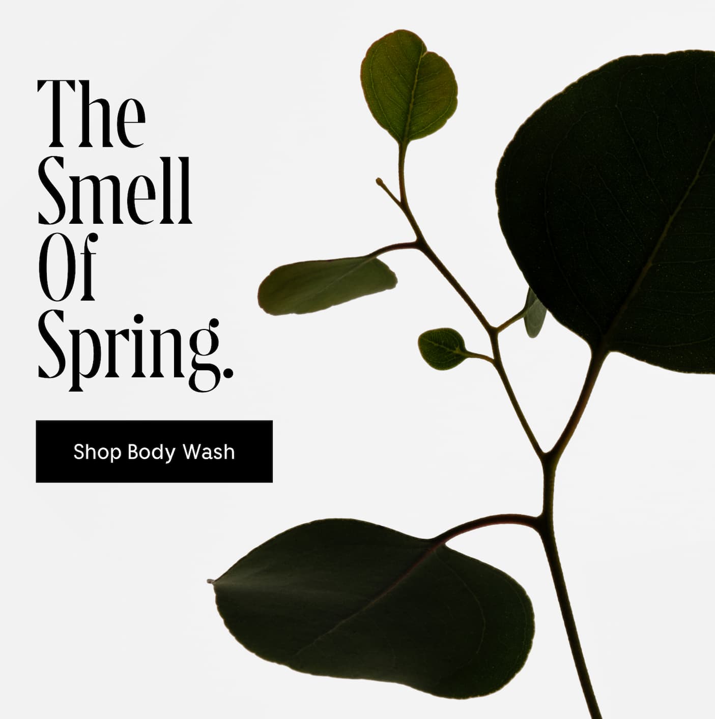 The Smell Of Spring. Shop Body Wash