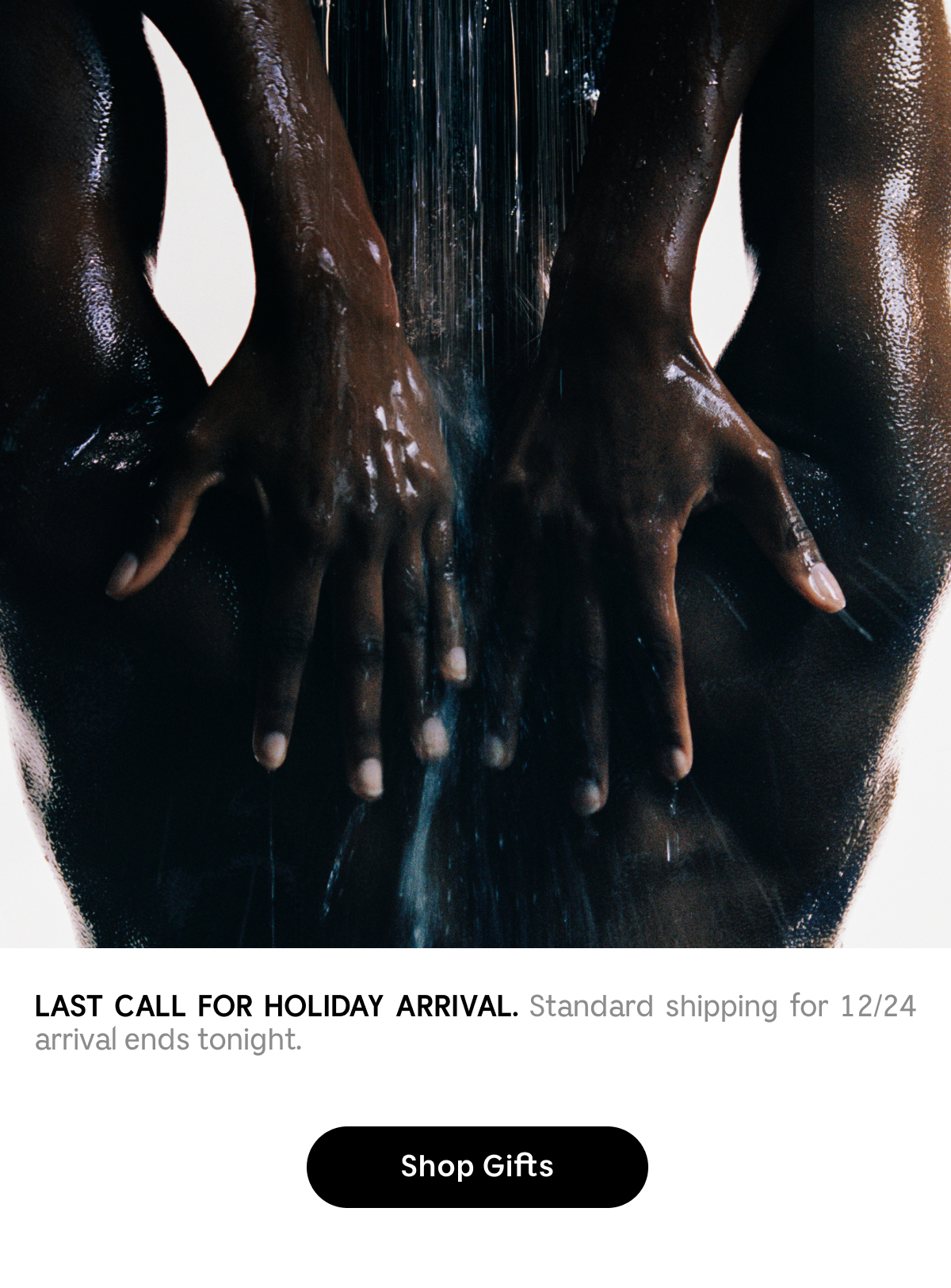 LAST CALL FOR HOLIDAY ARRIVAL. Standard shipping for 12/24 arrival ends tonight.