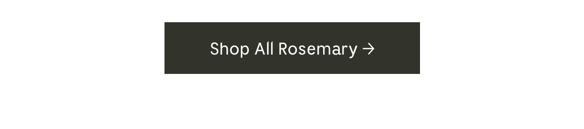 SHOP ALL ROSEMARY