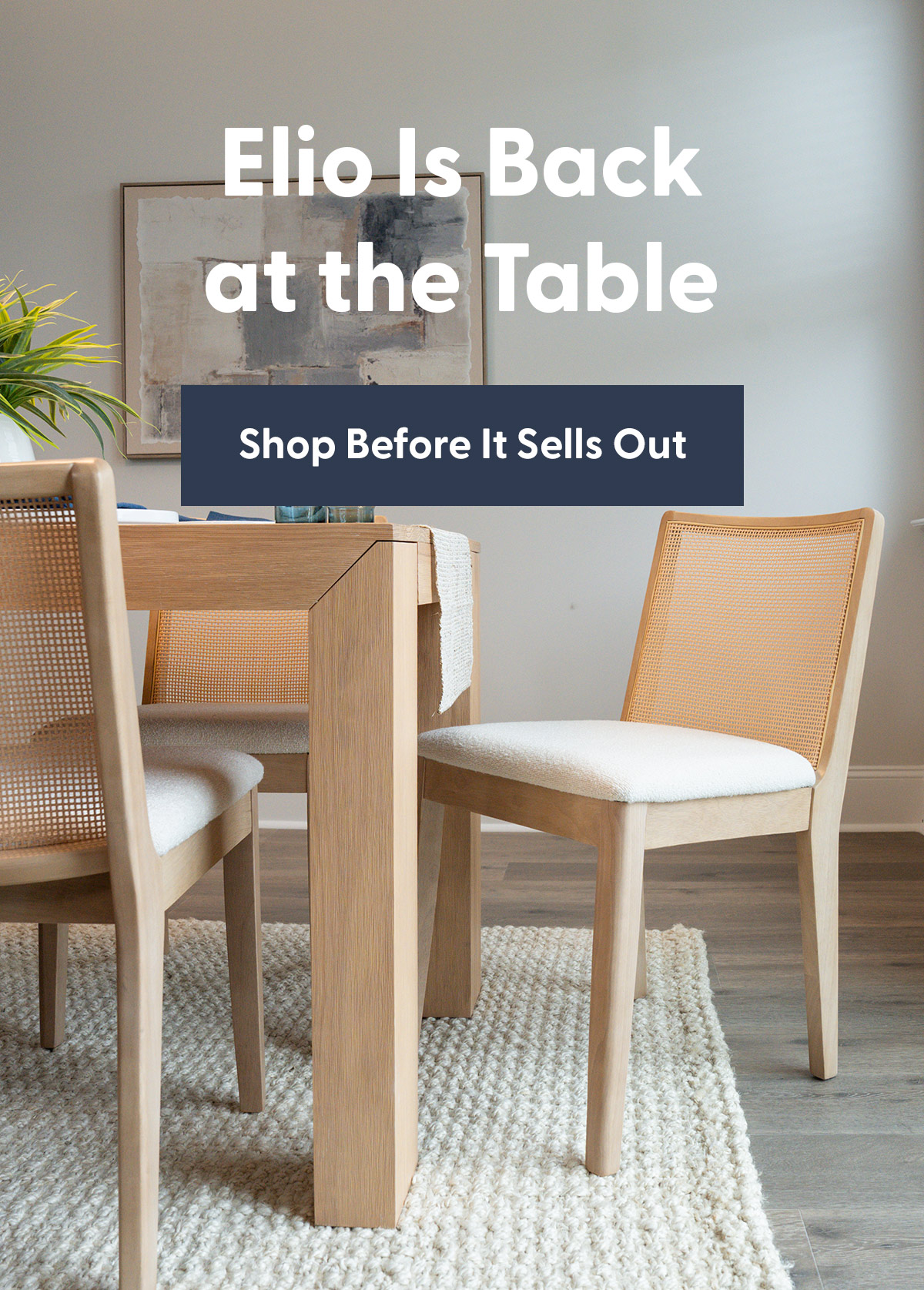 Elio is Back at the Table