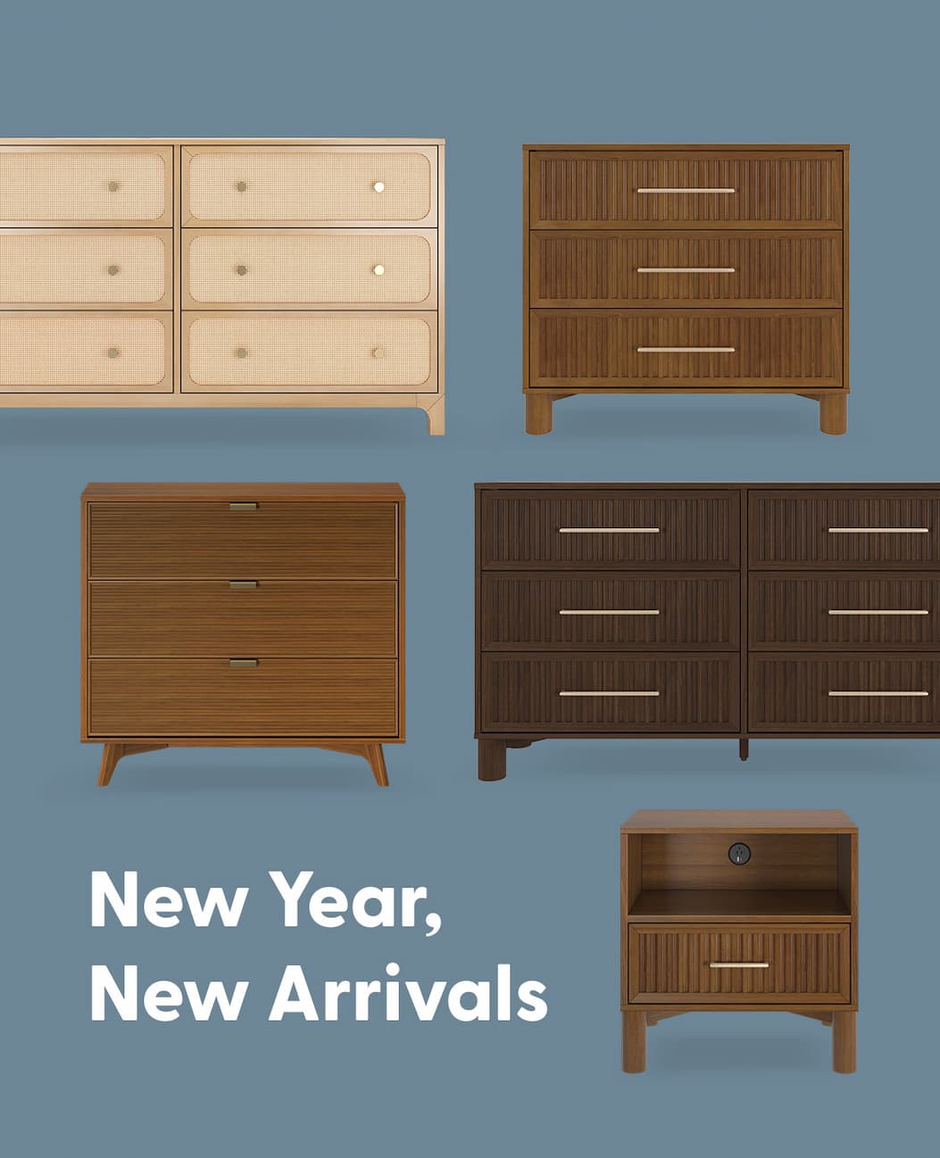 New Year, New Arrivals