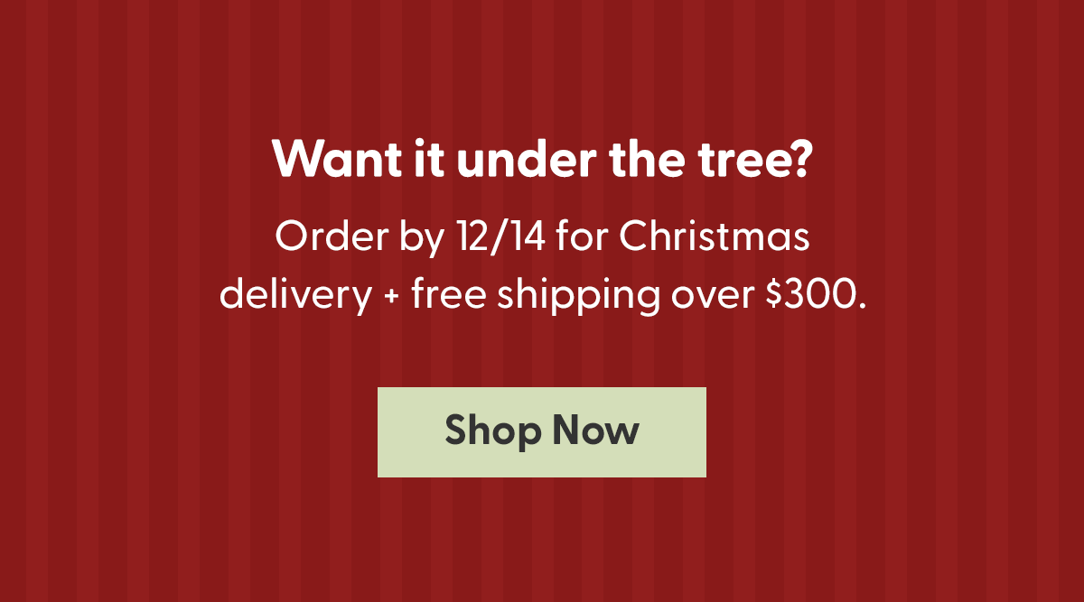Order by 12/14 for delivery by Christmas