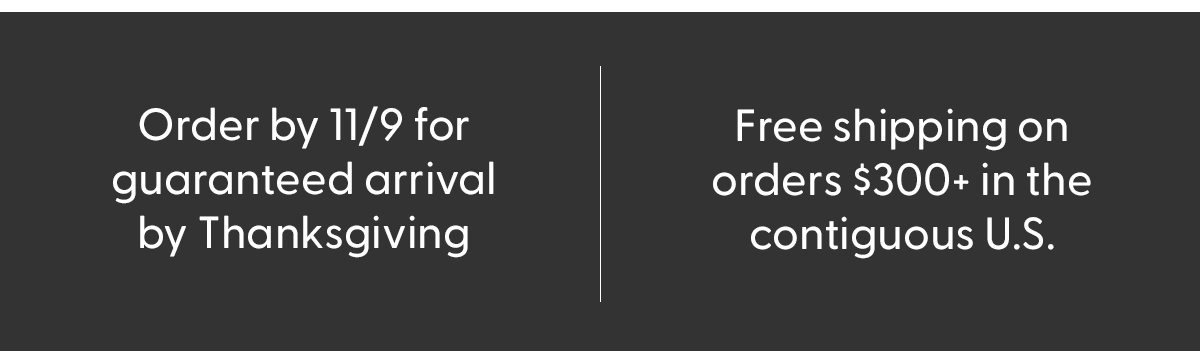 Get the First Look at our Black Friday Sale