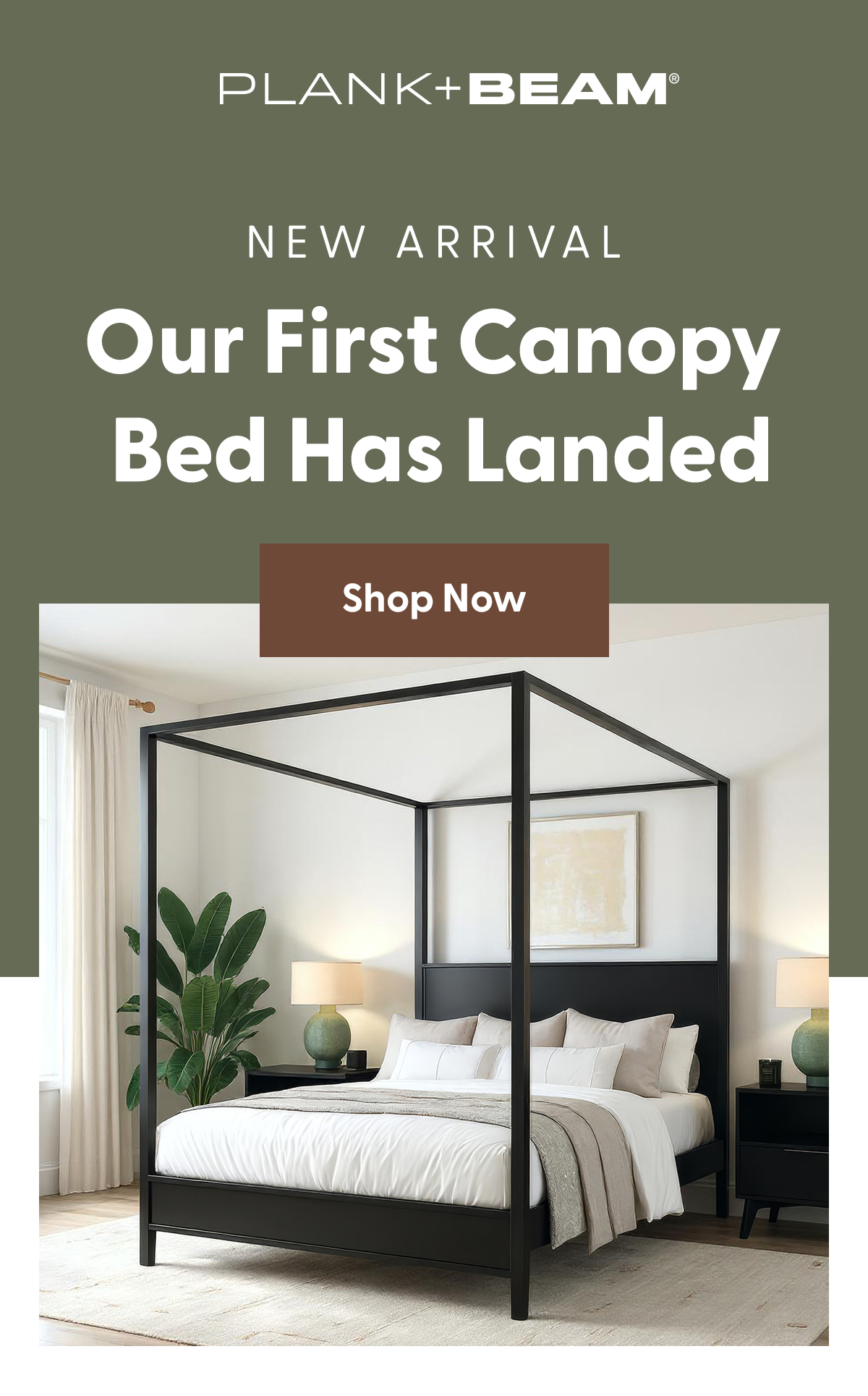 Just Dropped: New Haven Canopy Beds