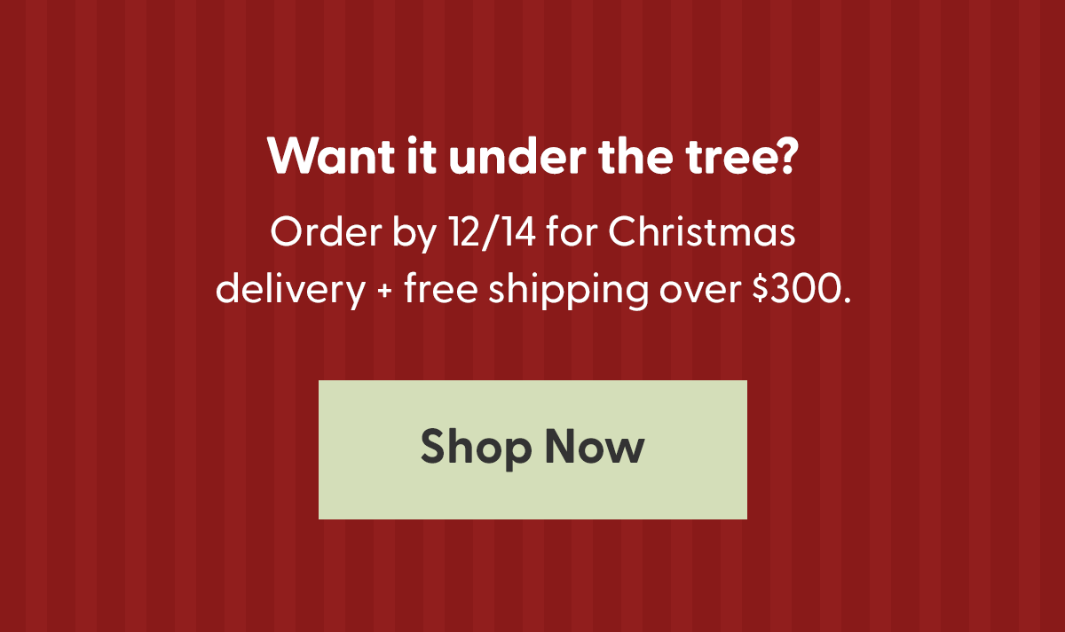 Order by 12/14 for delivery by Christmas