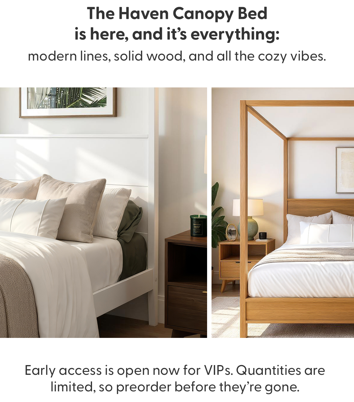 Just Dropped: New Haven Canopy Beds