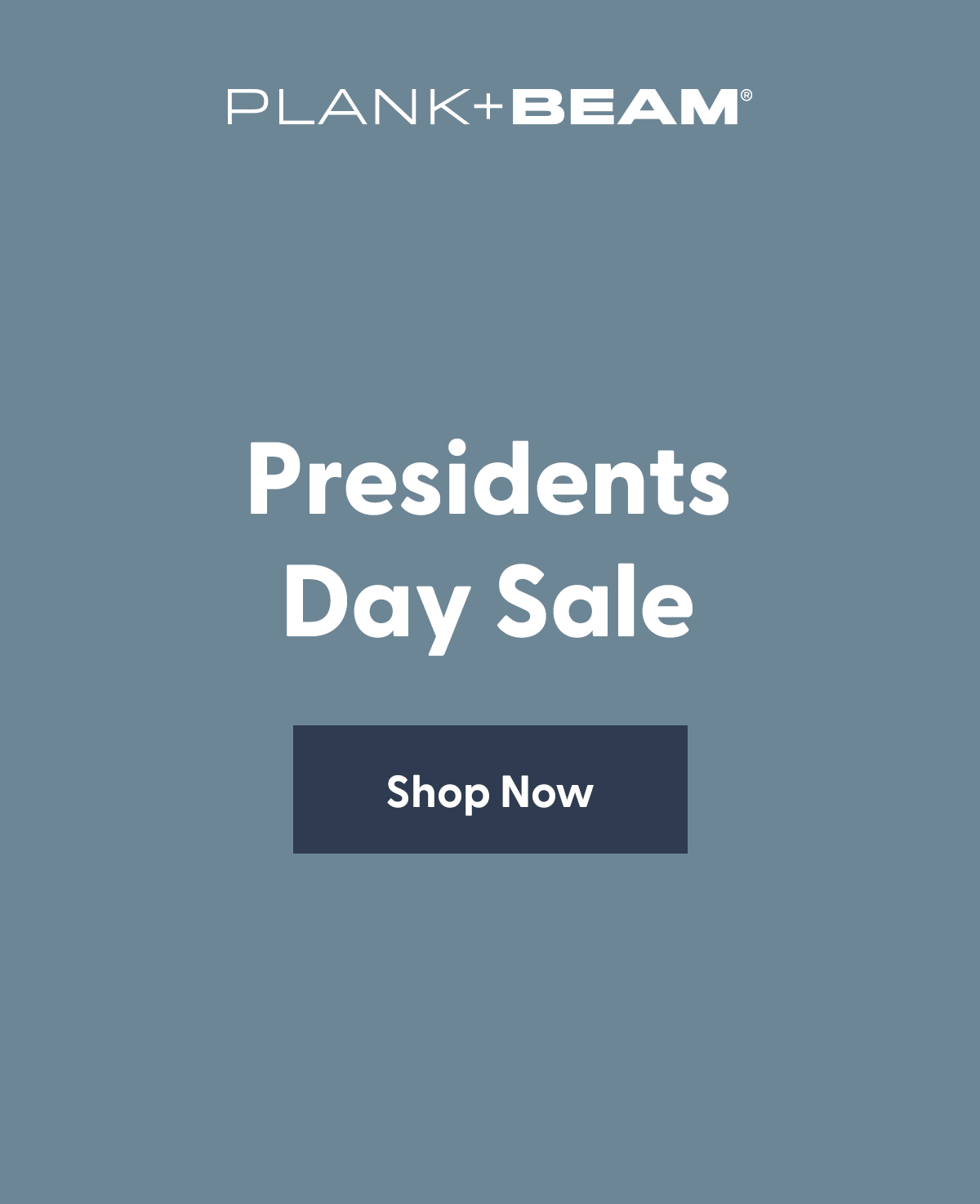 Presidents Day Sale