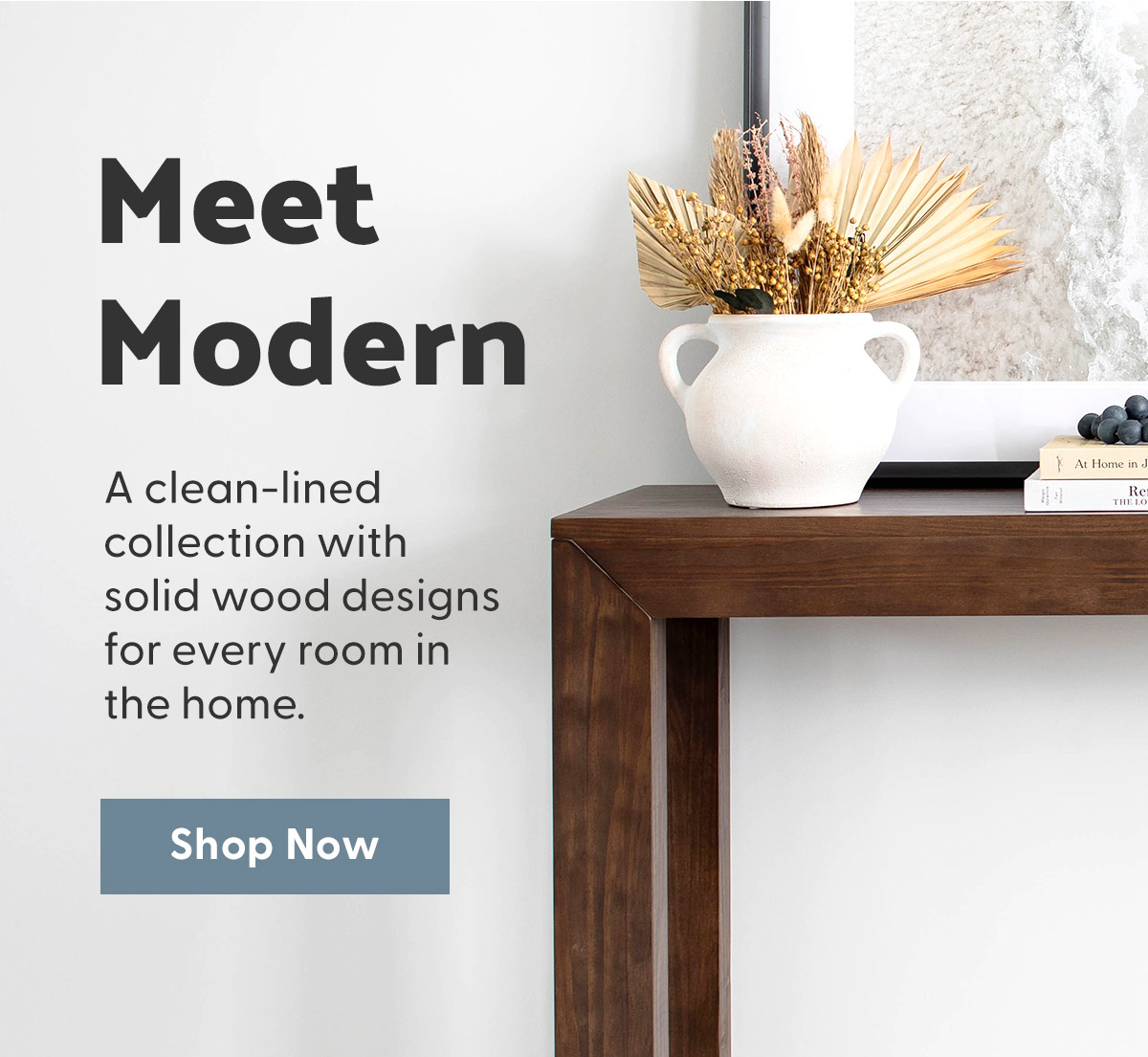 Shop Modern Collection