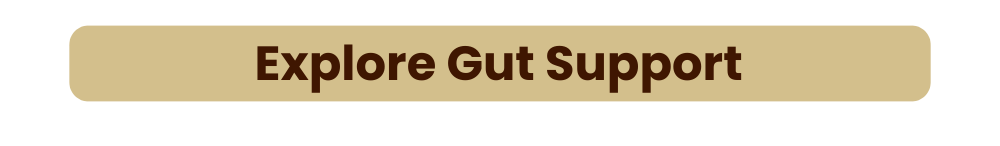 Explore Gut Support