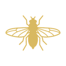 Biting fly