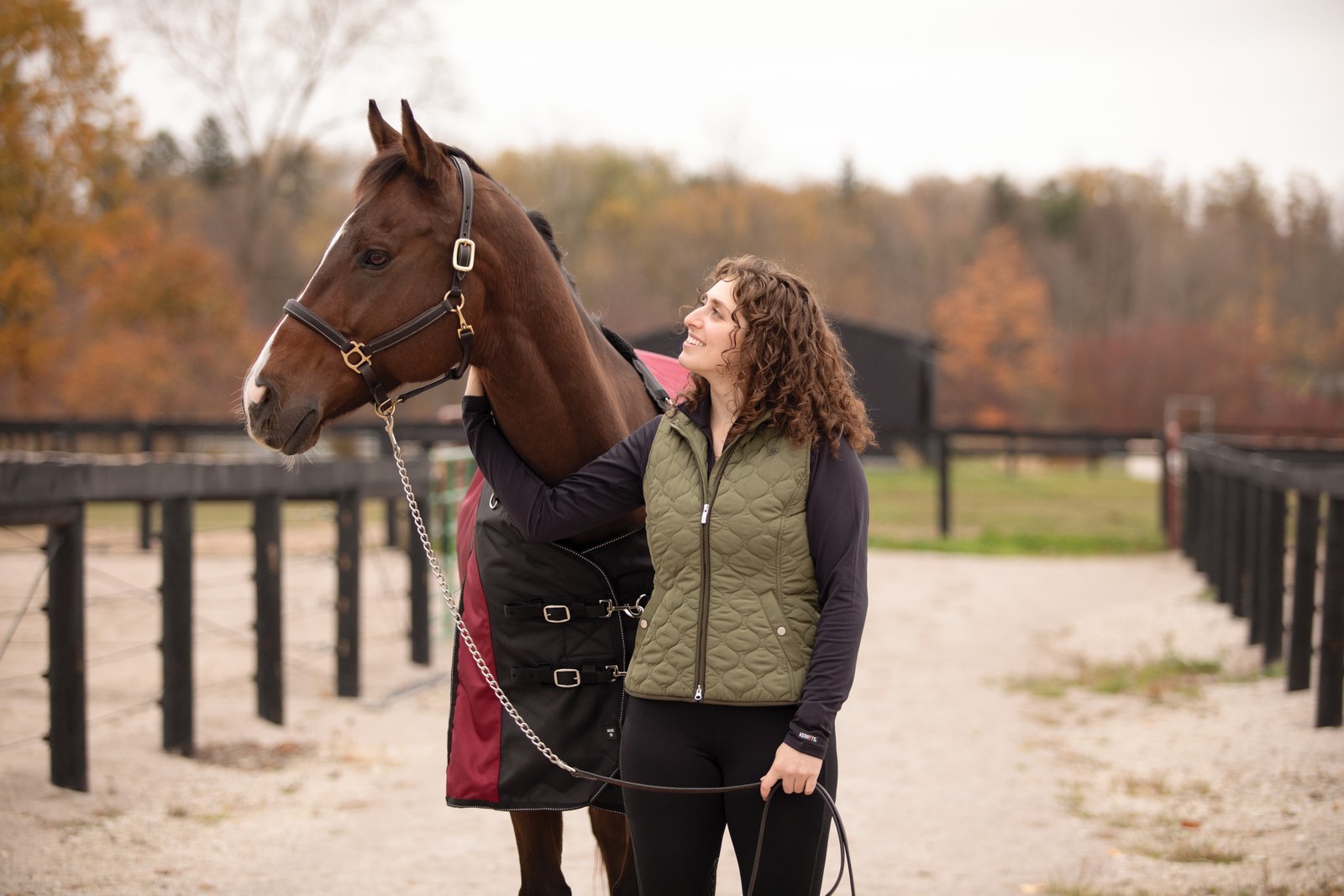A horse turned out in a StormShield turnout blanket