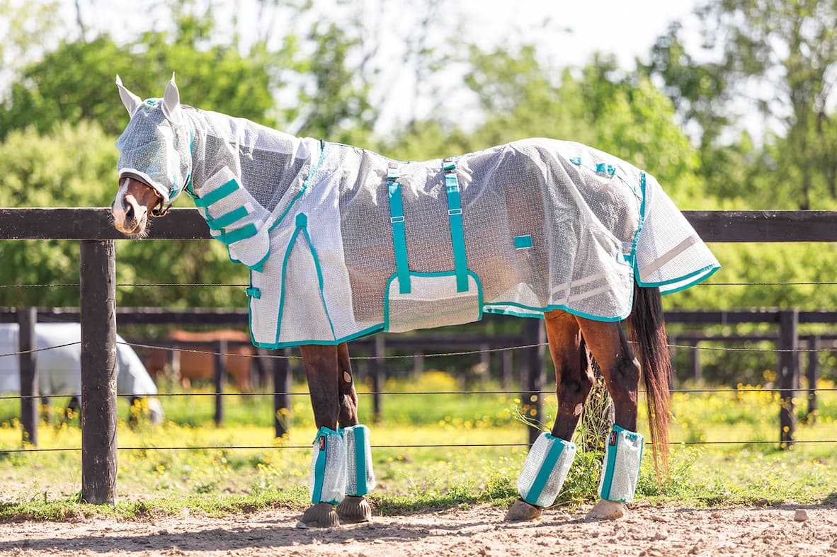 60-Second Fly Sheet Finder