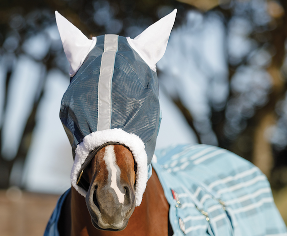 Fly Masks
