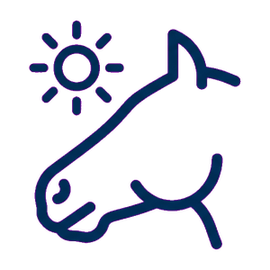 Sunburn-prone nose and UV icon