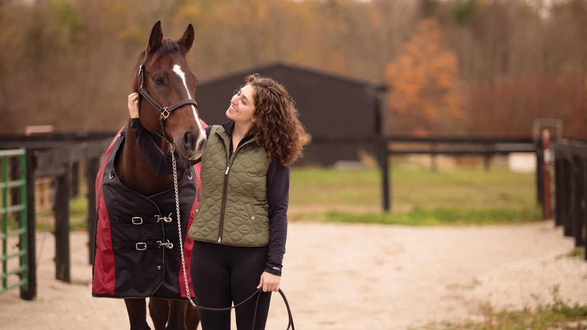 A horse in a turnout blanket after clipping