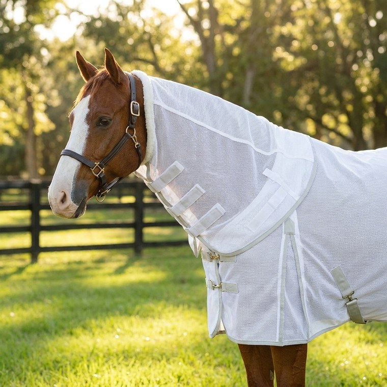Neck & crest -- the fix