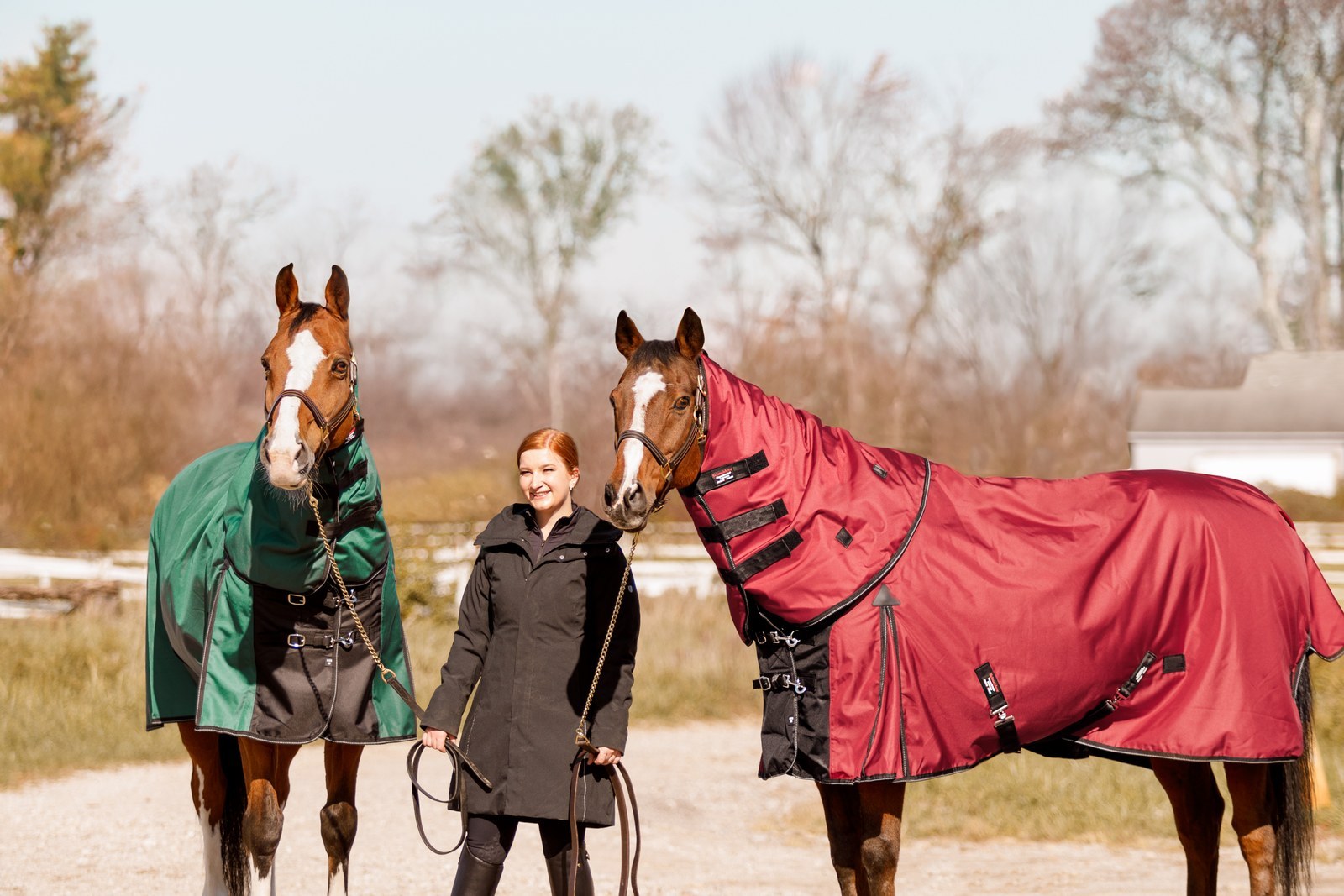 Two horses turned out in waterproof turnout blankets