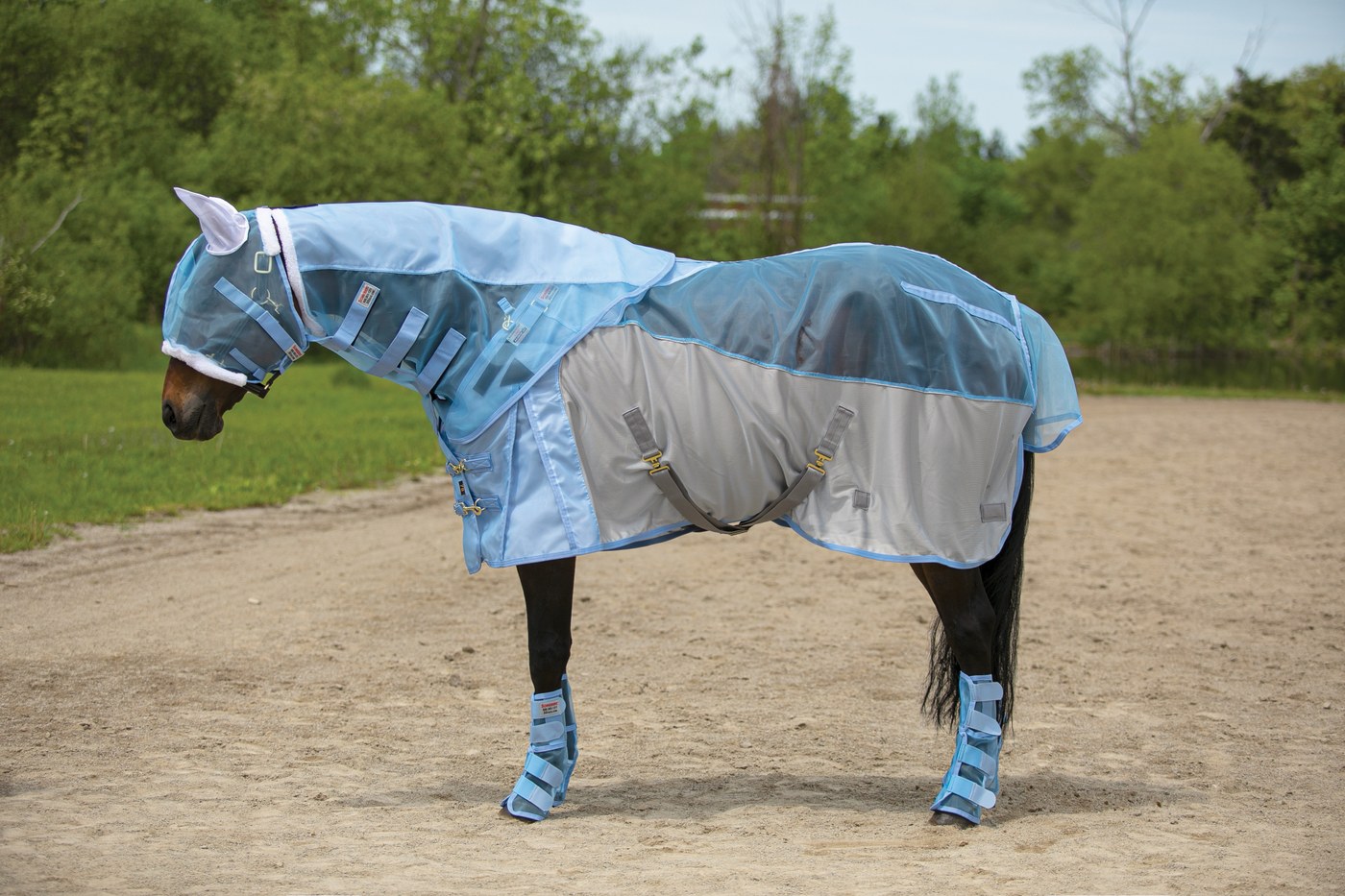 A horse in a full fly sheet, fly mask, and fly boots on all four legs standing in a paddock