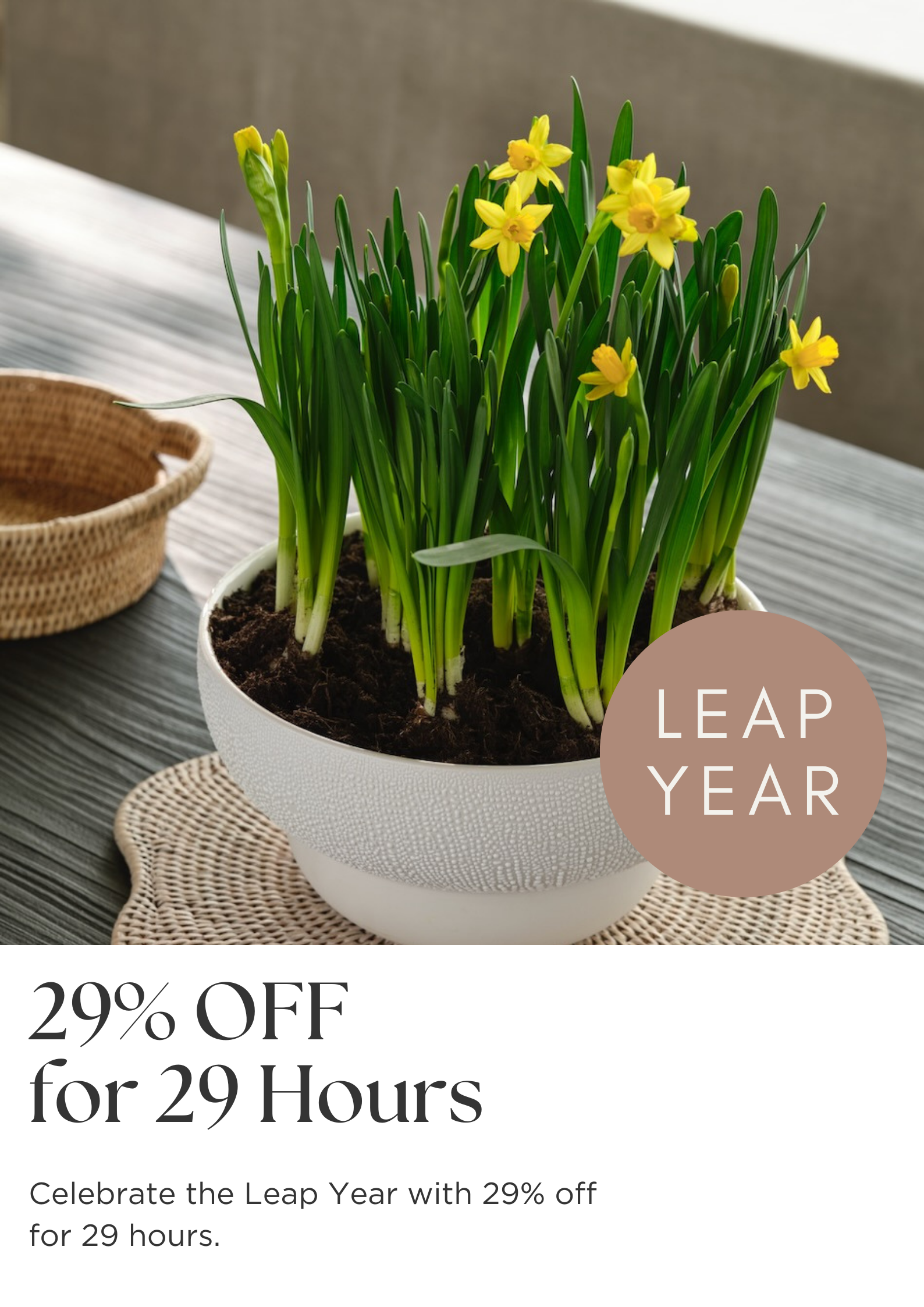 29% off for 29 hours