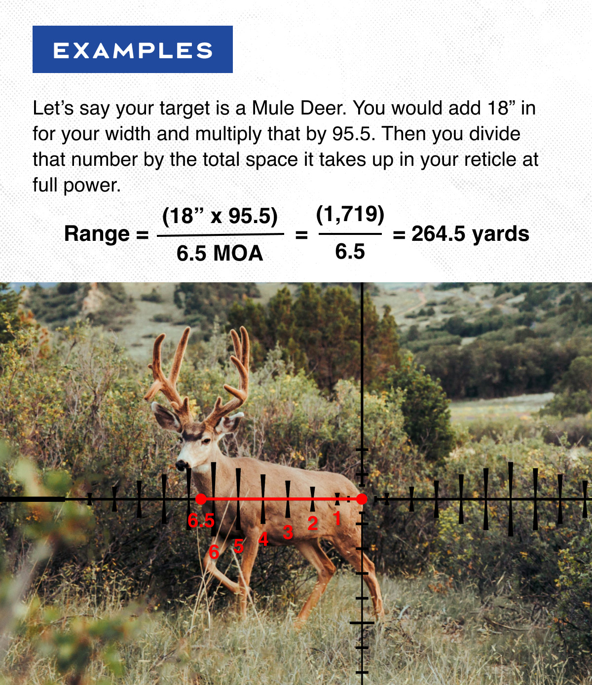 Example #1 - How to Determine Range from Width