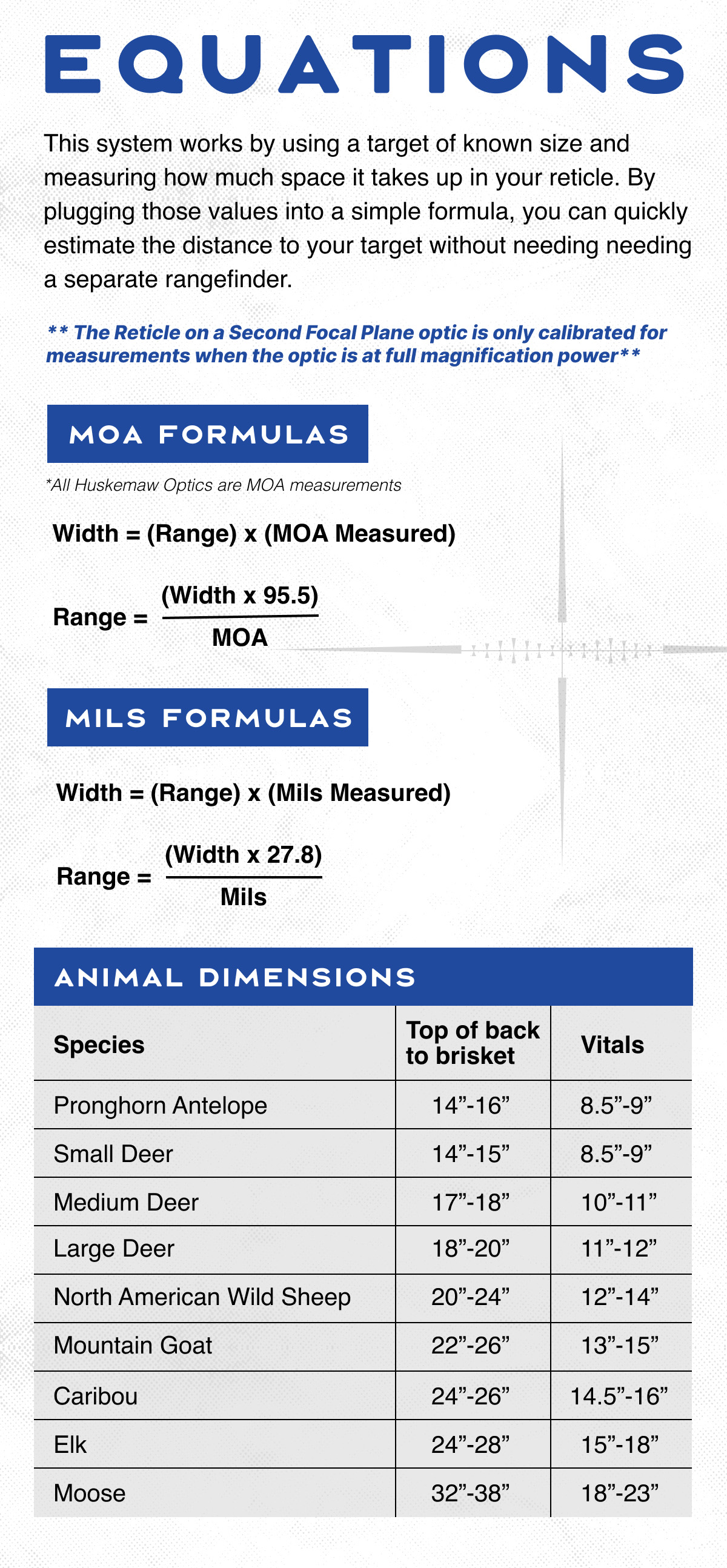 Equations and Animal Dimensions