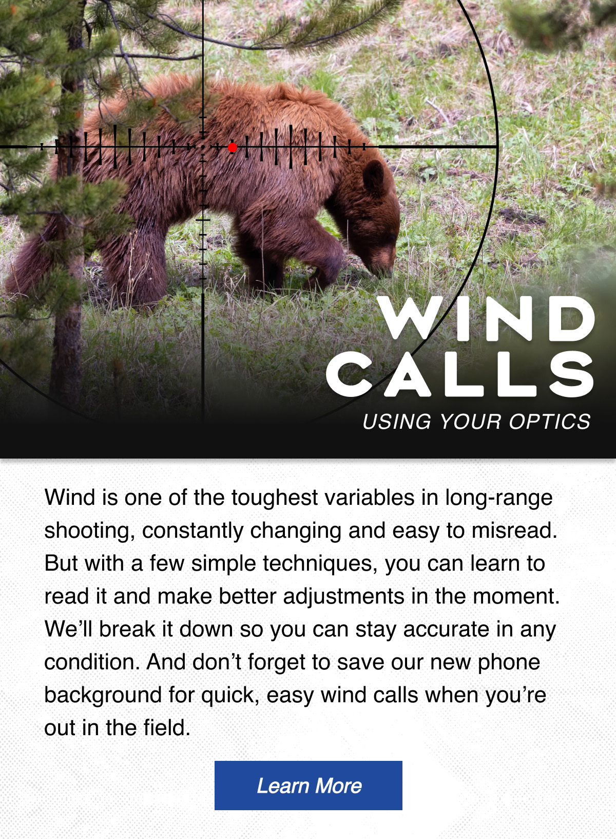 Wind Calls