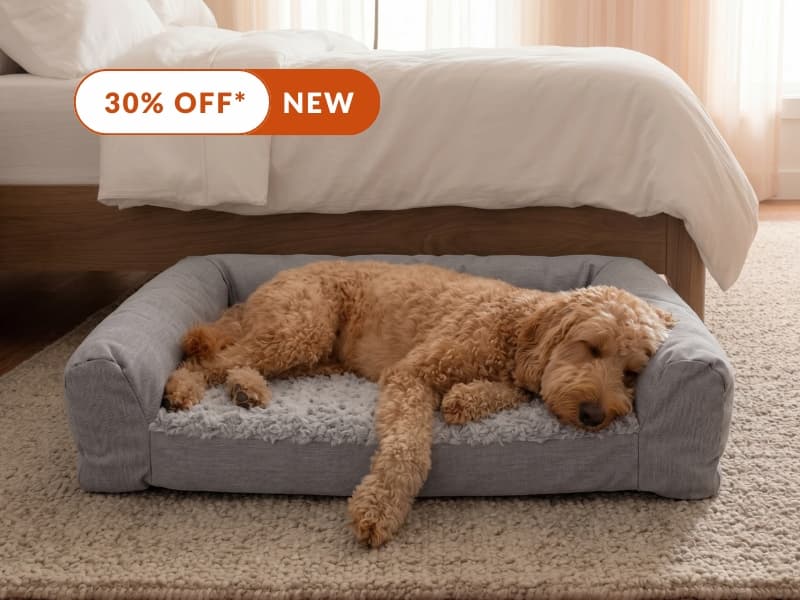 30% OFF* the Plush Bolster Pet Bed