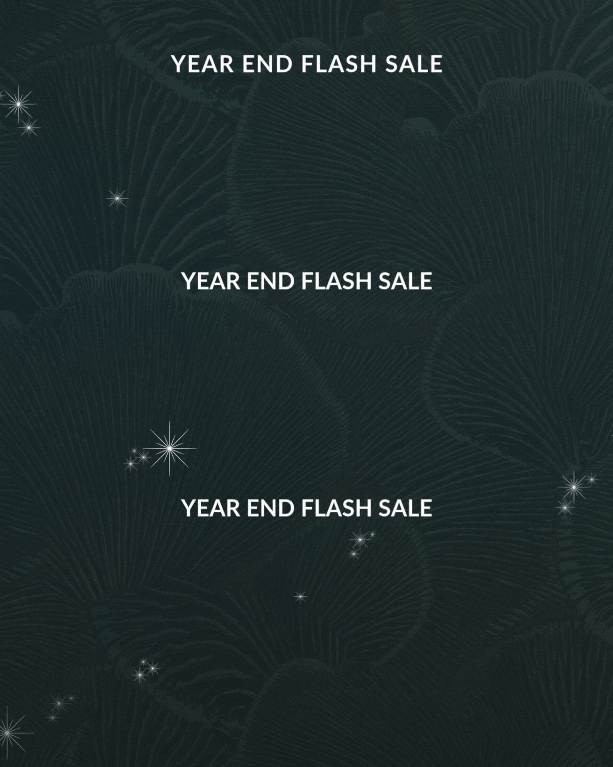 YEAR END FLASH SALE 25% OFF* 