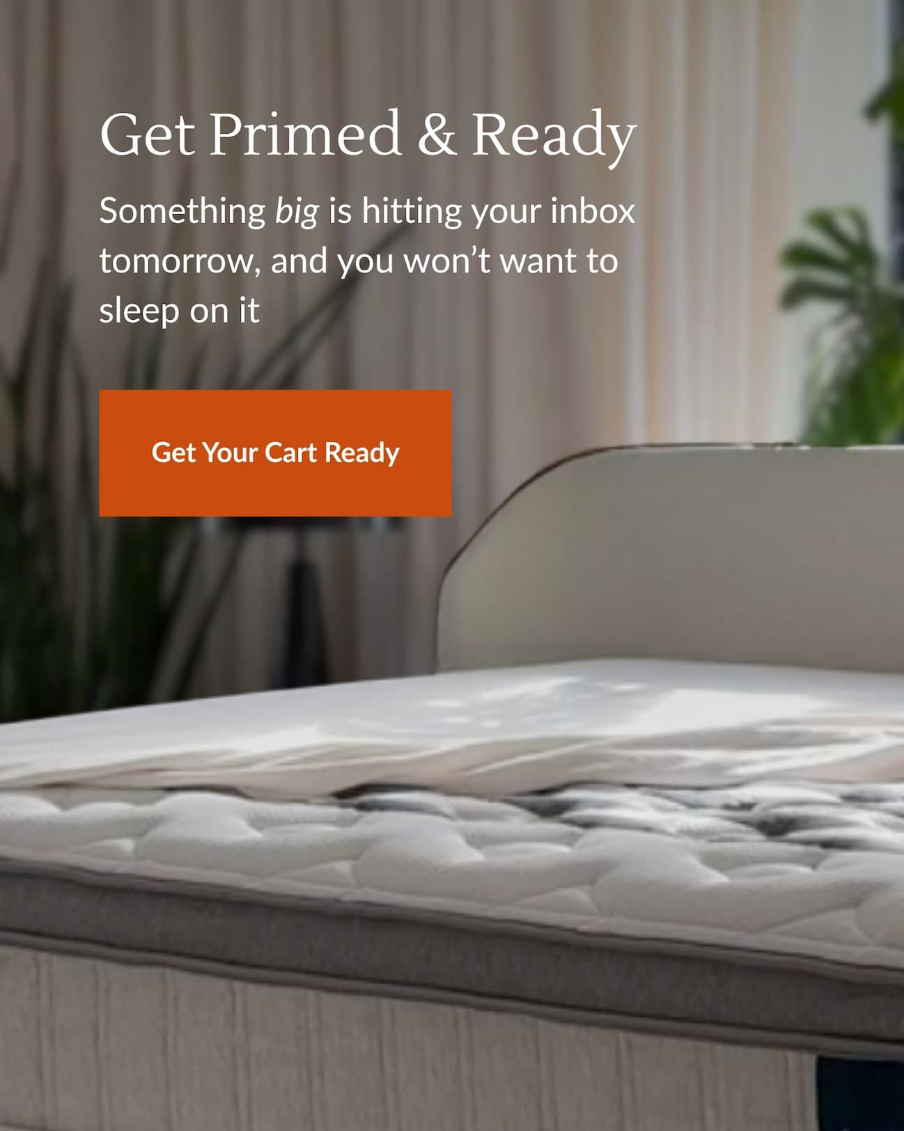 Get Primed & Ready - Something big is hitting your inbox tomorrow, and you won’t want to sleep on it - Get your cart ready