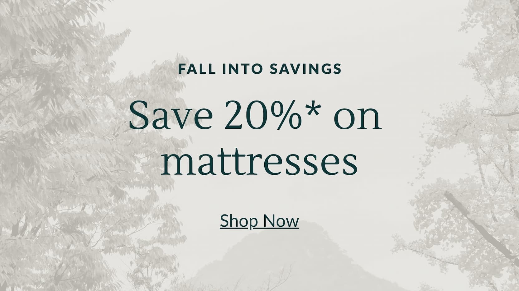FALL INTO SAVINGS: Save 20* on mattresses