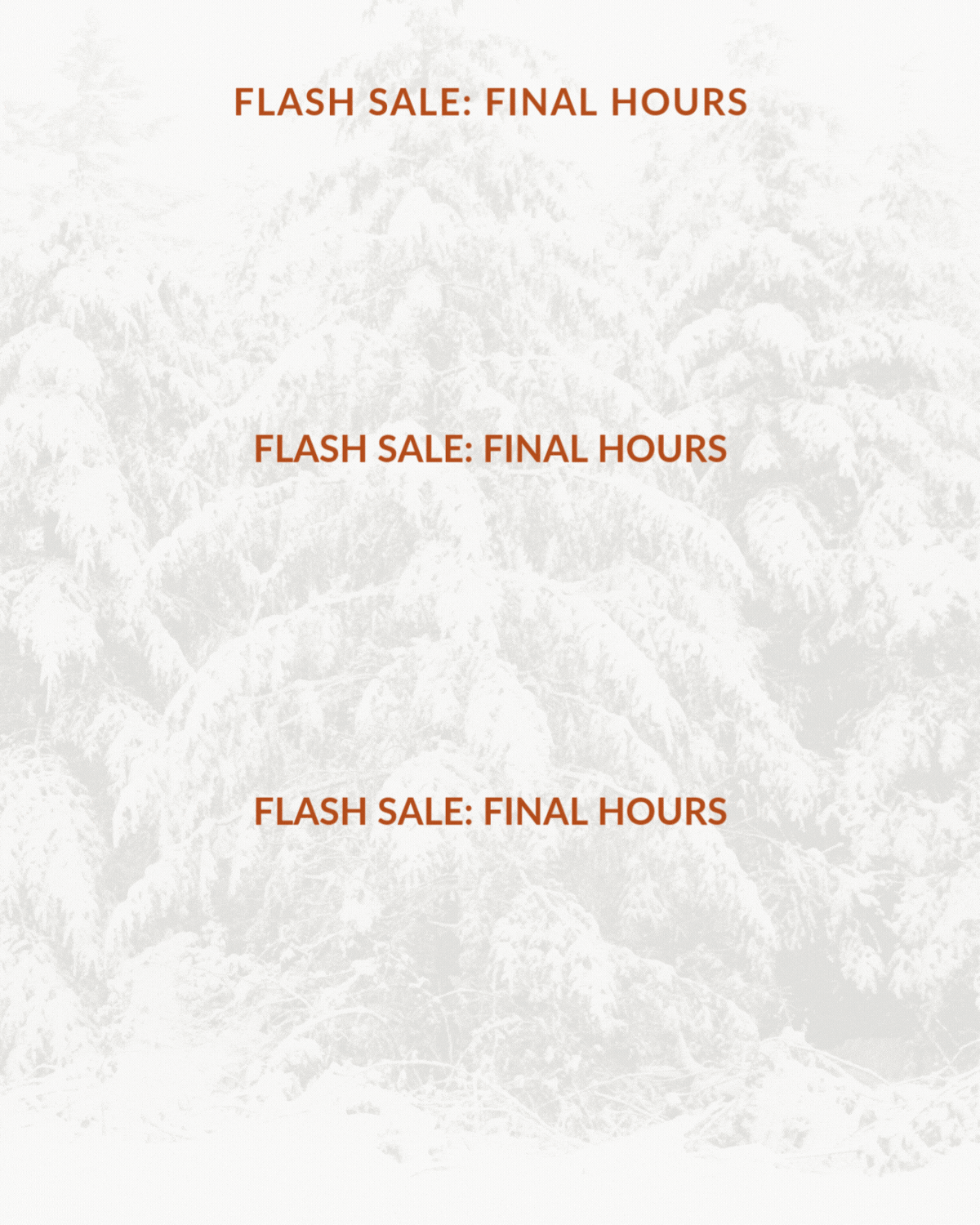 FLASH SALE: FINAL HOURS -- 25% OFF*