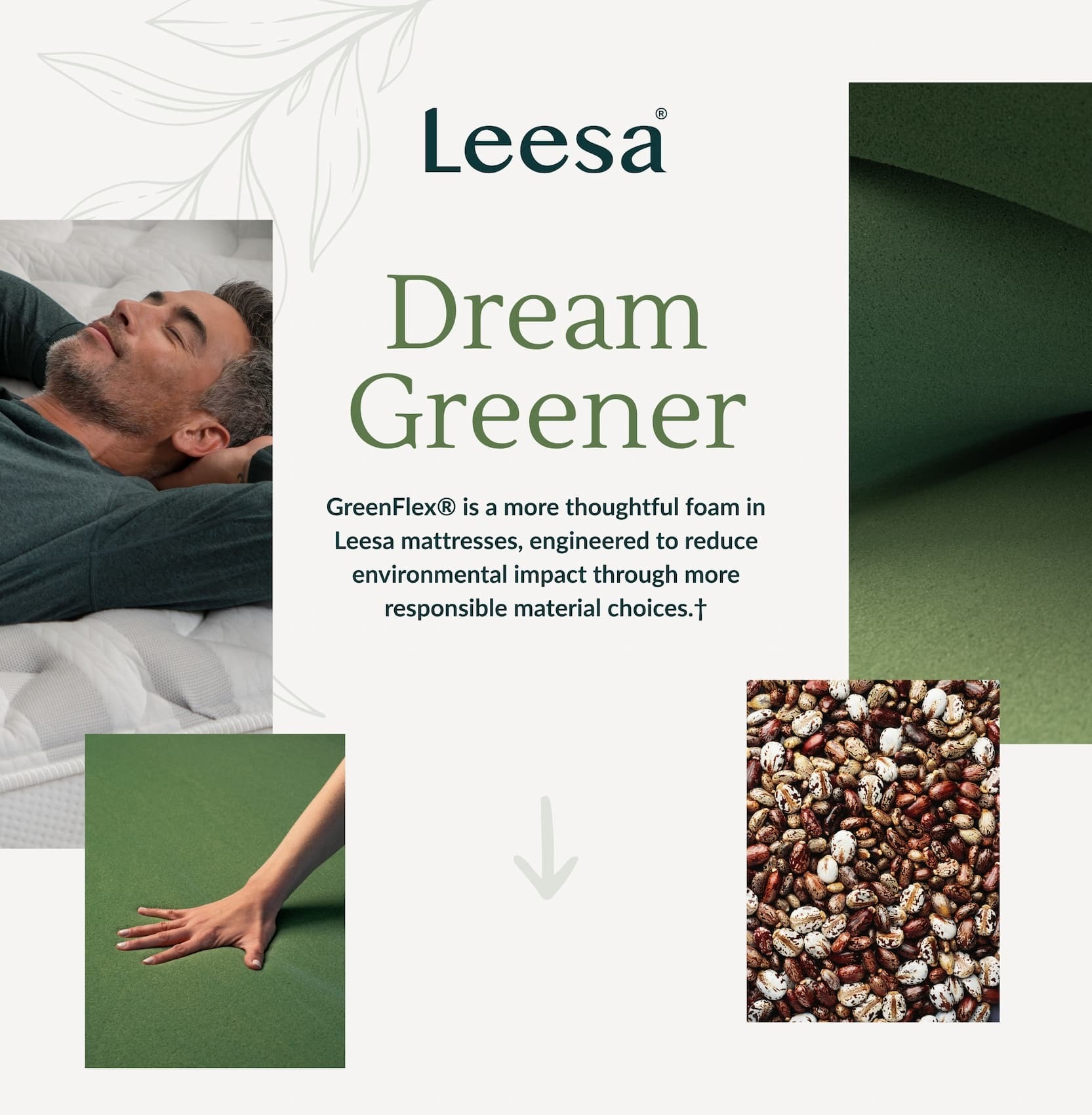 Dream Greener