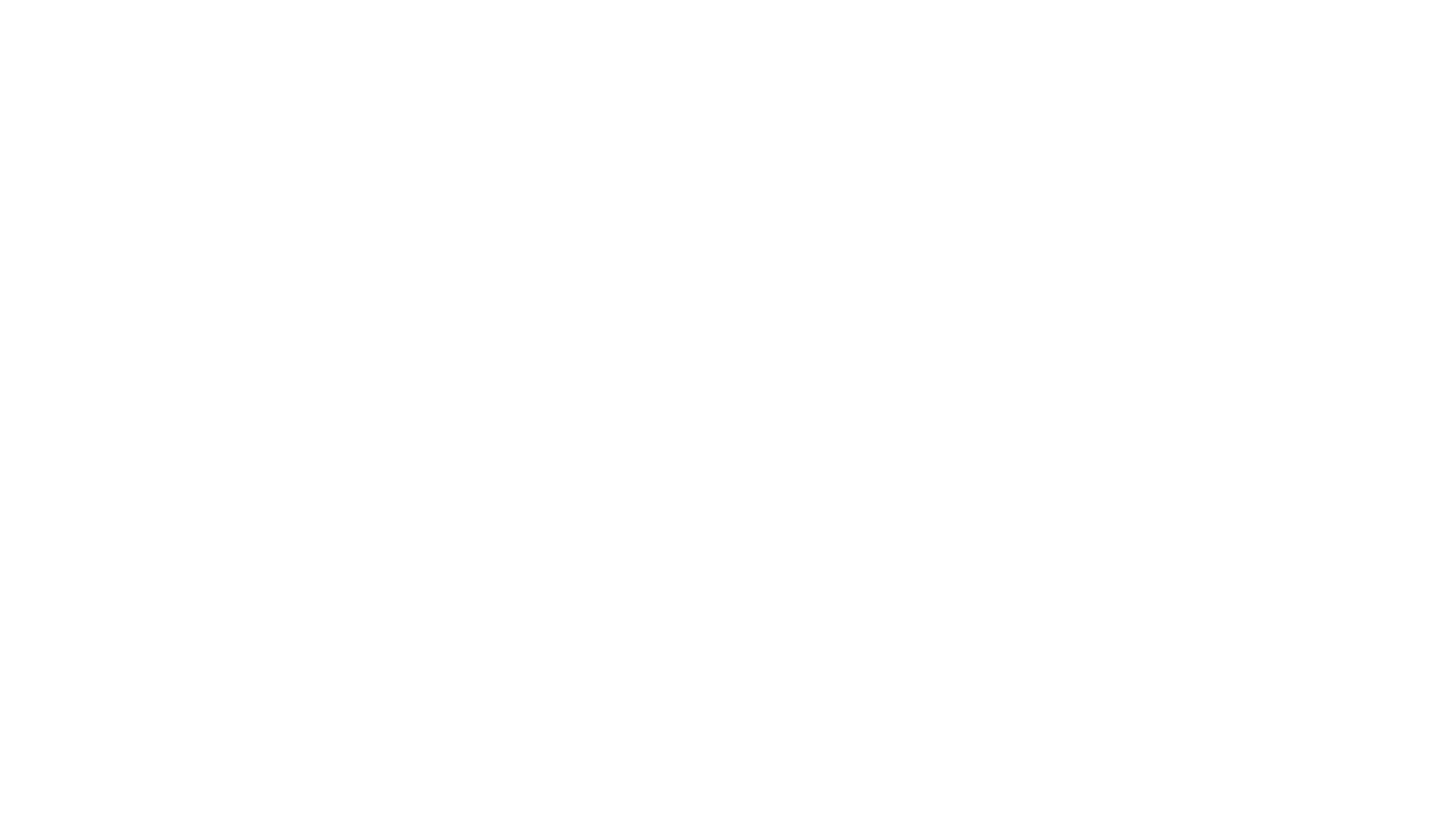 The Love Your Leesa Promise