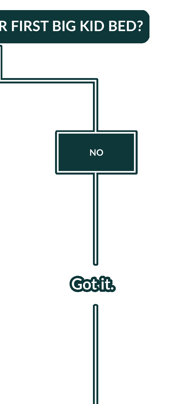 SHOPPING FOR THEIR FIRsT BIG KID BED? --> NO