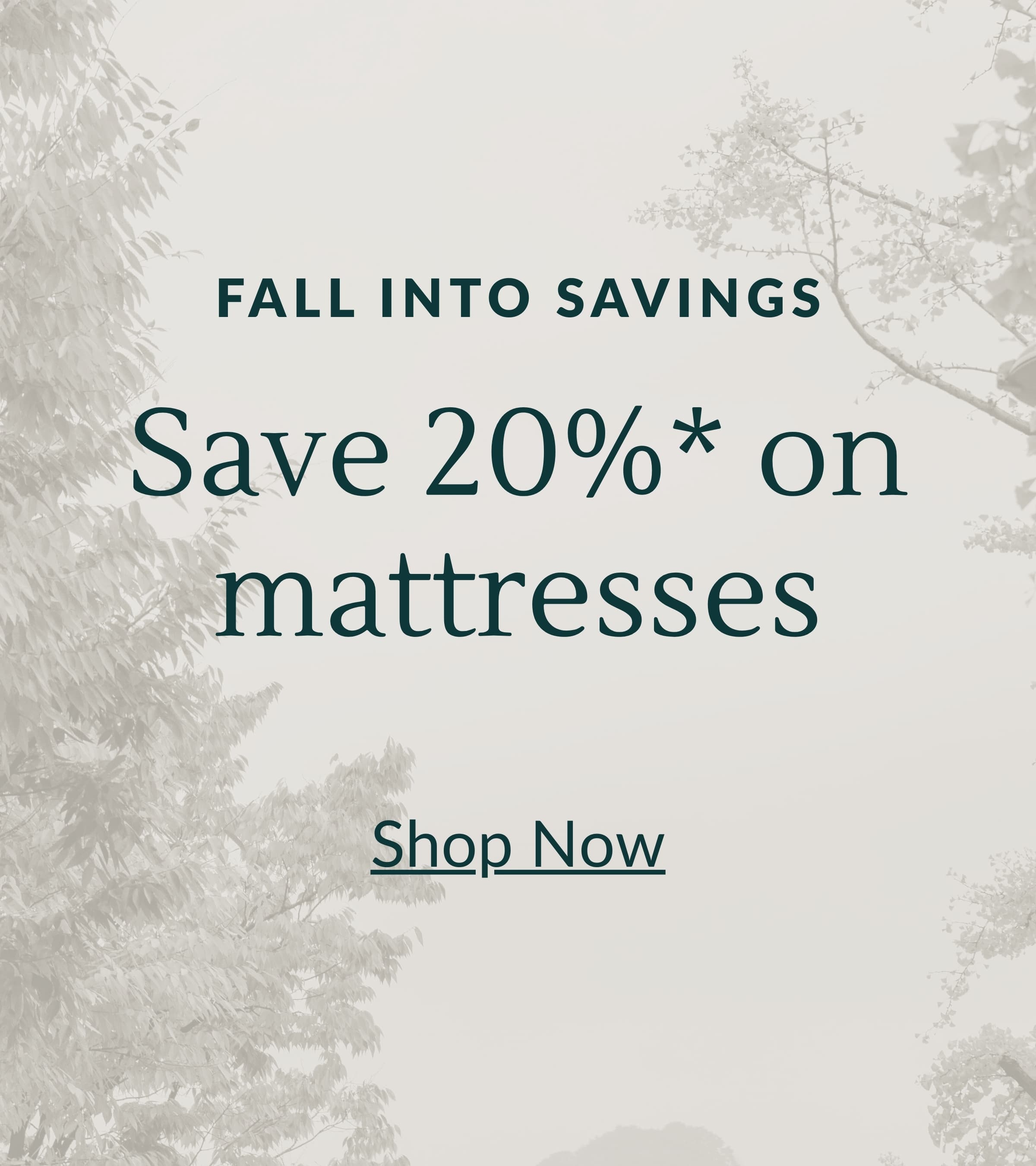 FALL INTO SAVINGS: Save 20* on mattresses